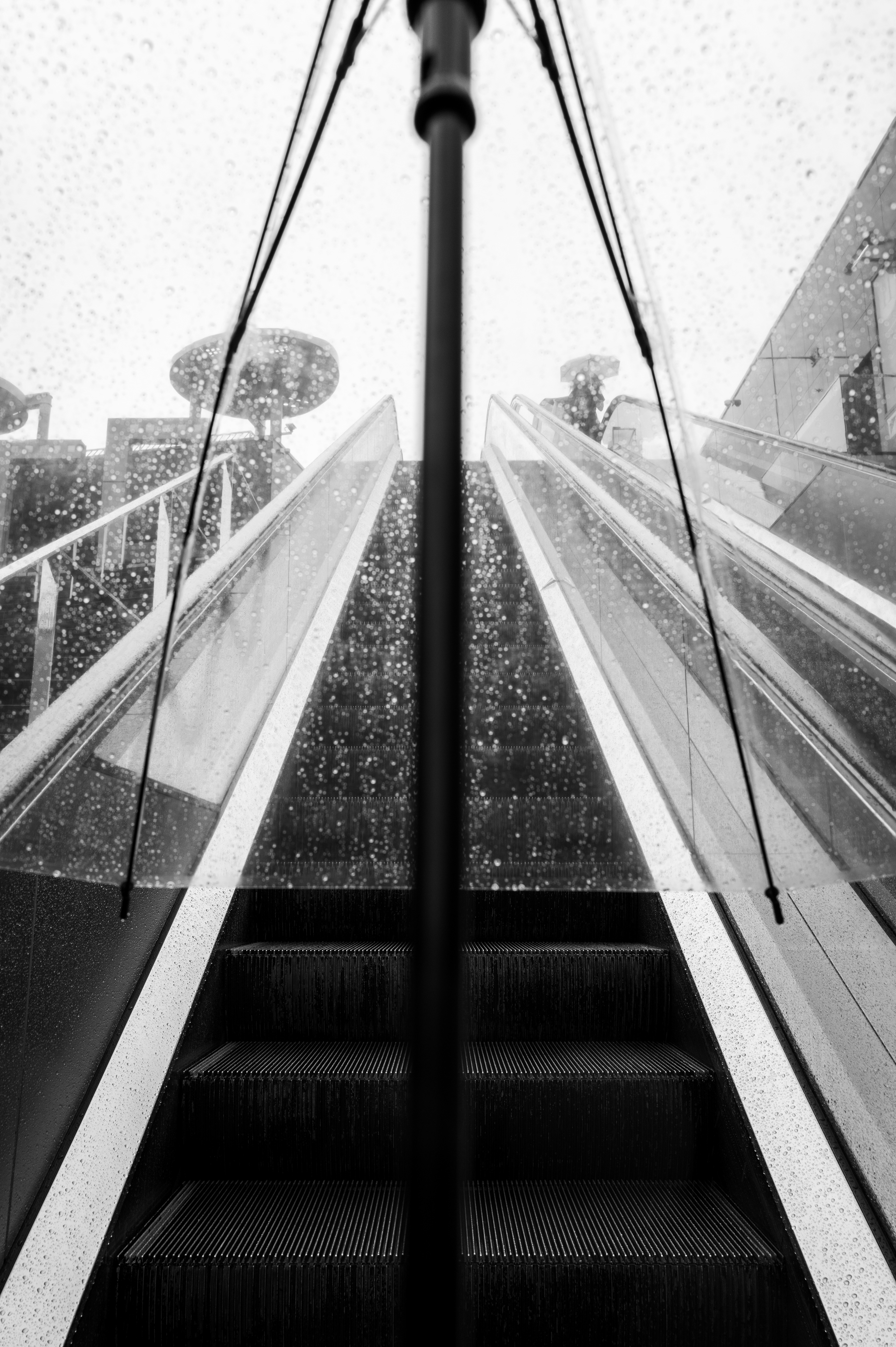Kyoto Rain