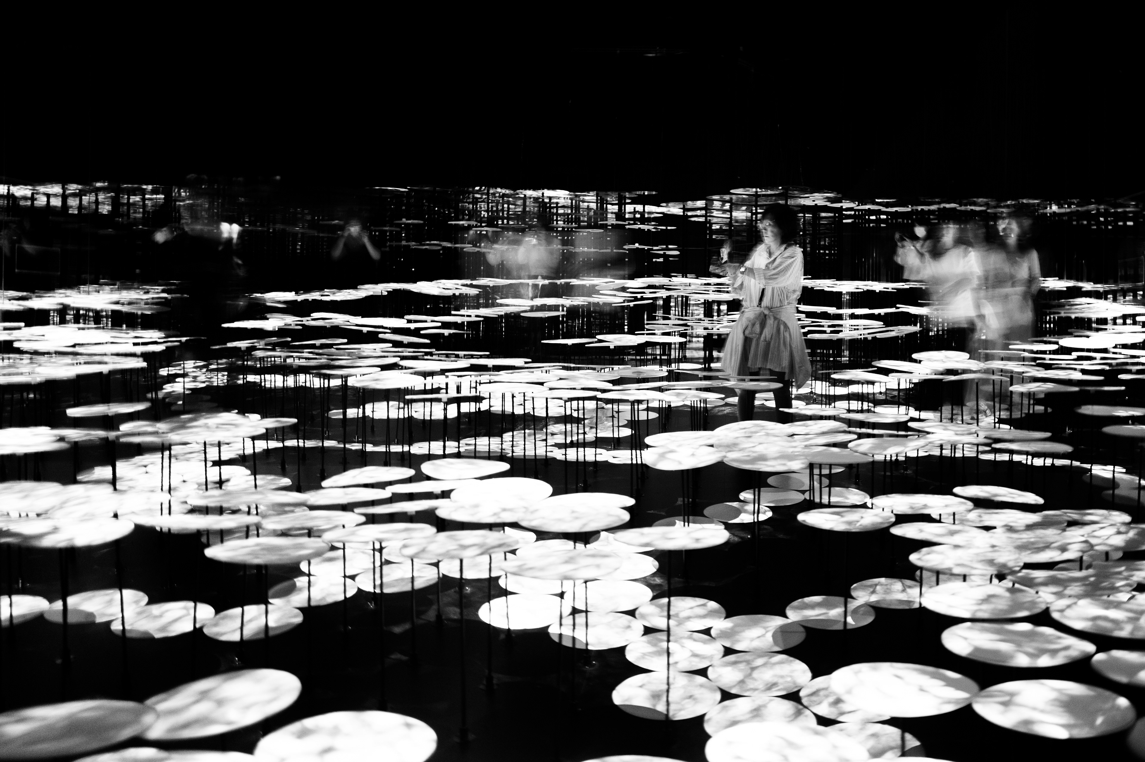 Borderless Lillies
