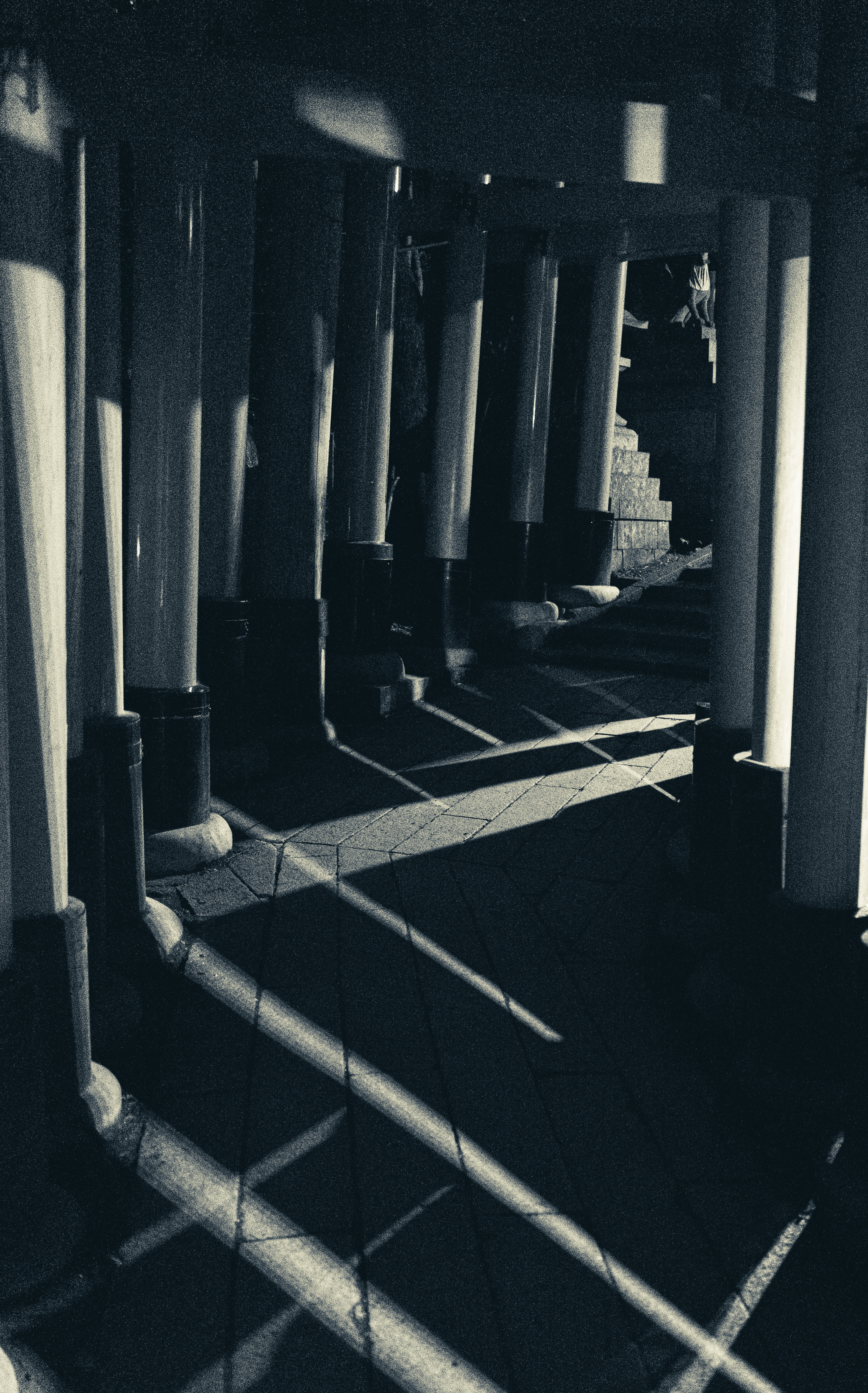 Torii Gates