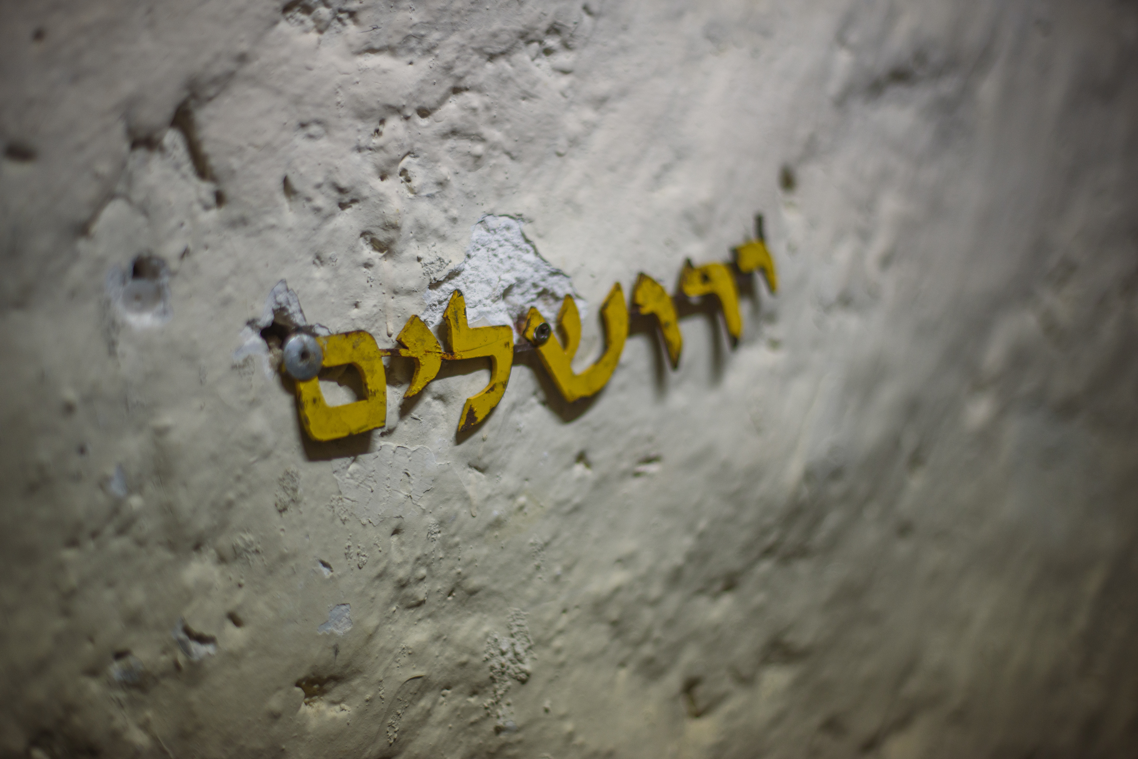 Image credit: Yair Meyuhas (detail)