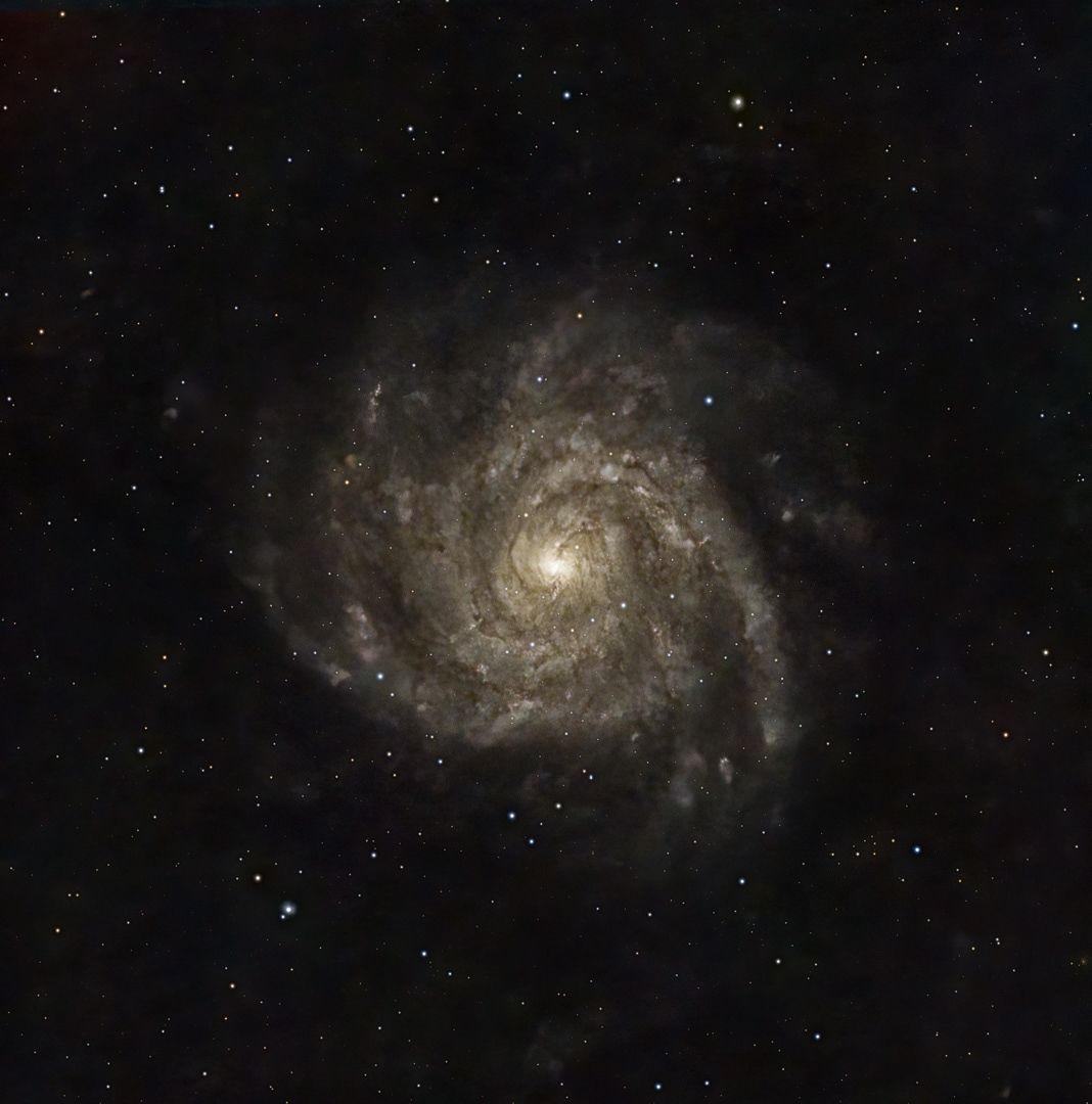 IC 342 The Hidden Galaxy