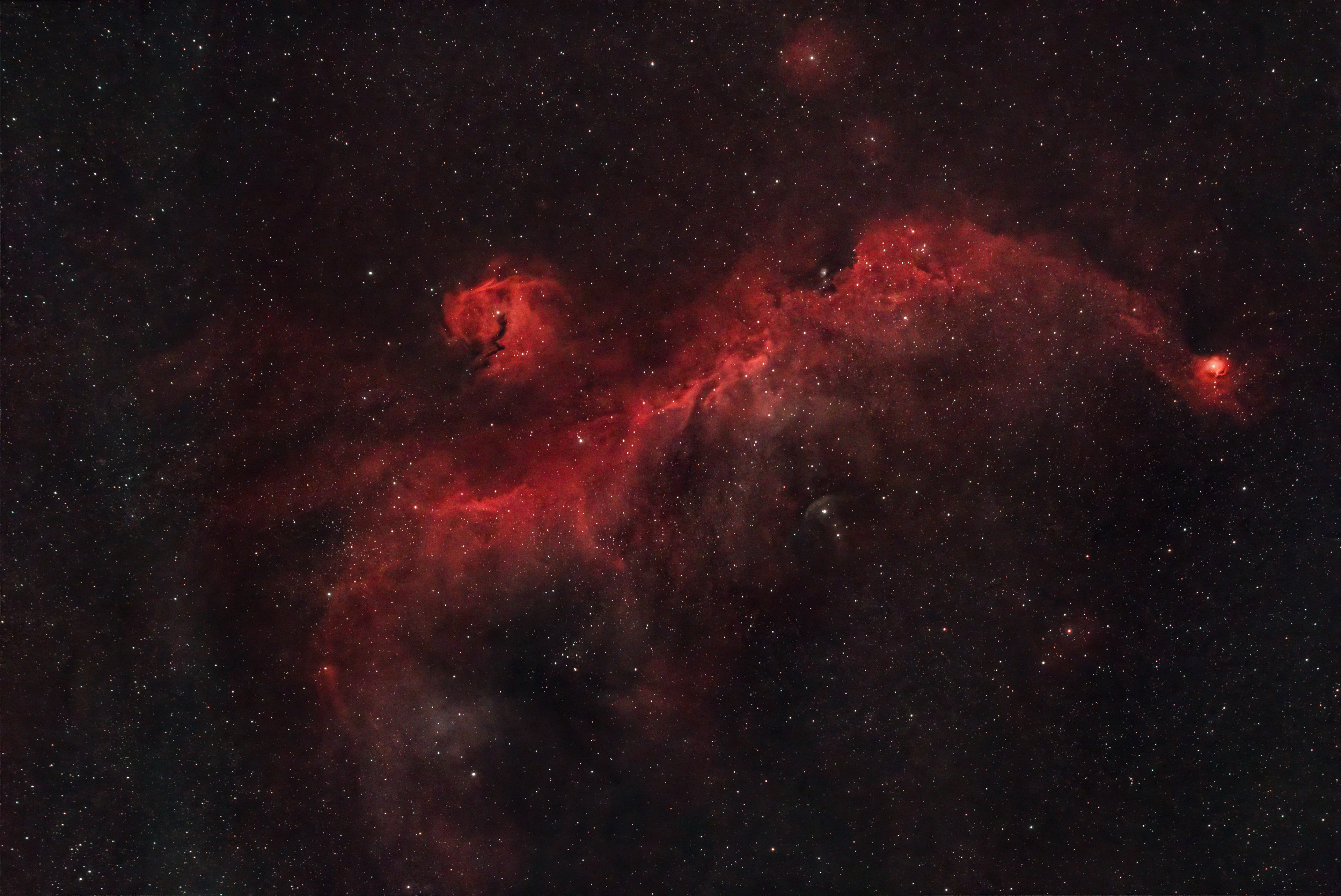 NGC 2335 Seagull Nebula