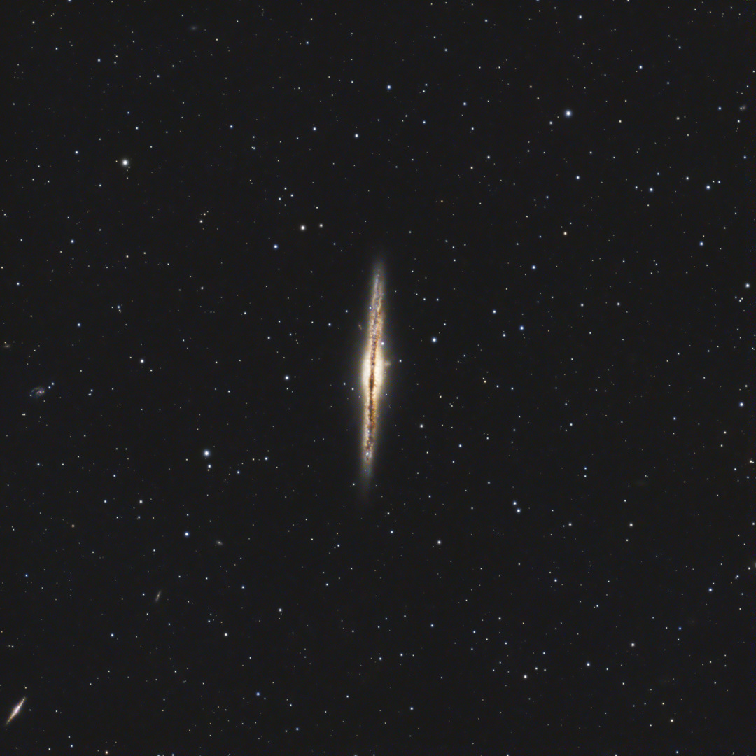 NGC 891 Silver Sliver Galaxy