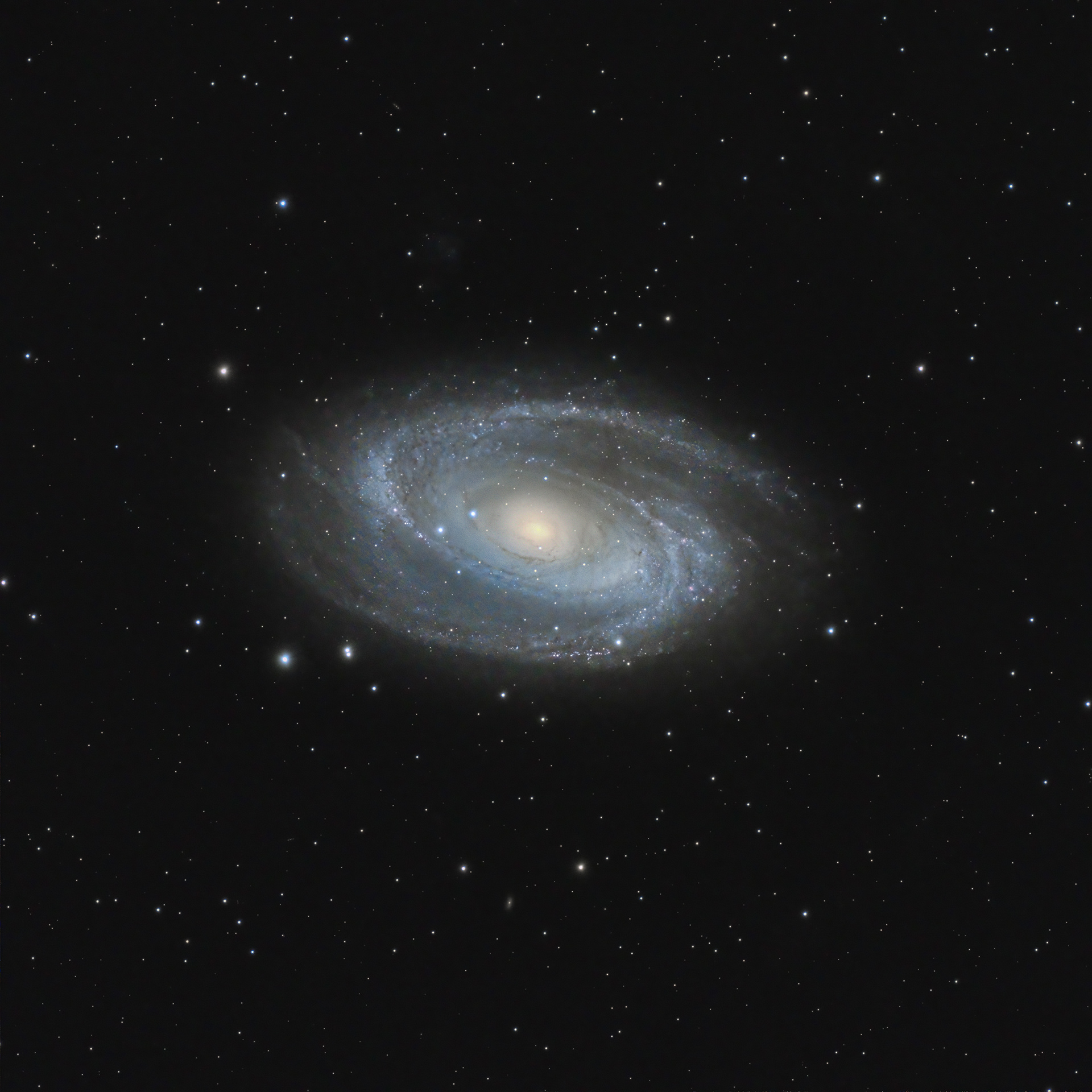 M81 Bodes Galaxy