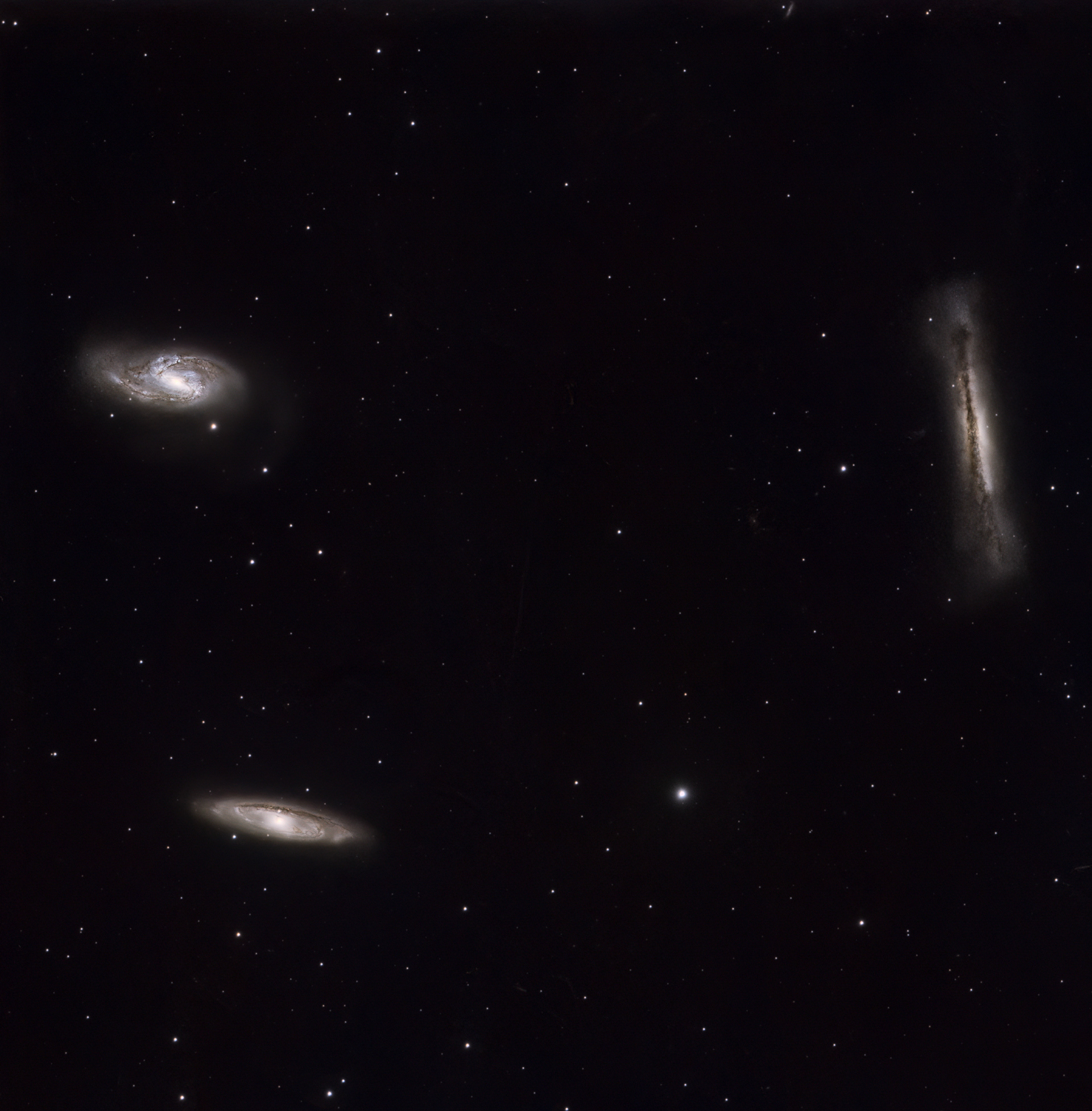 Leo Triplet