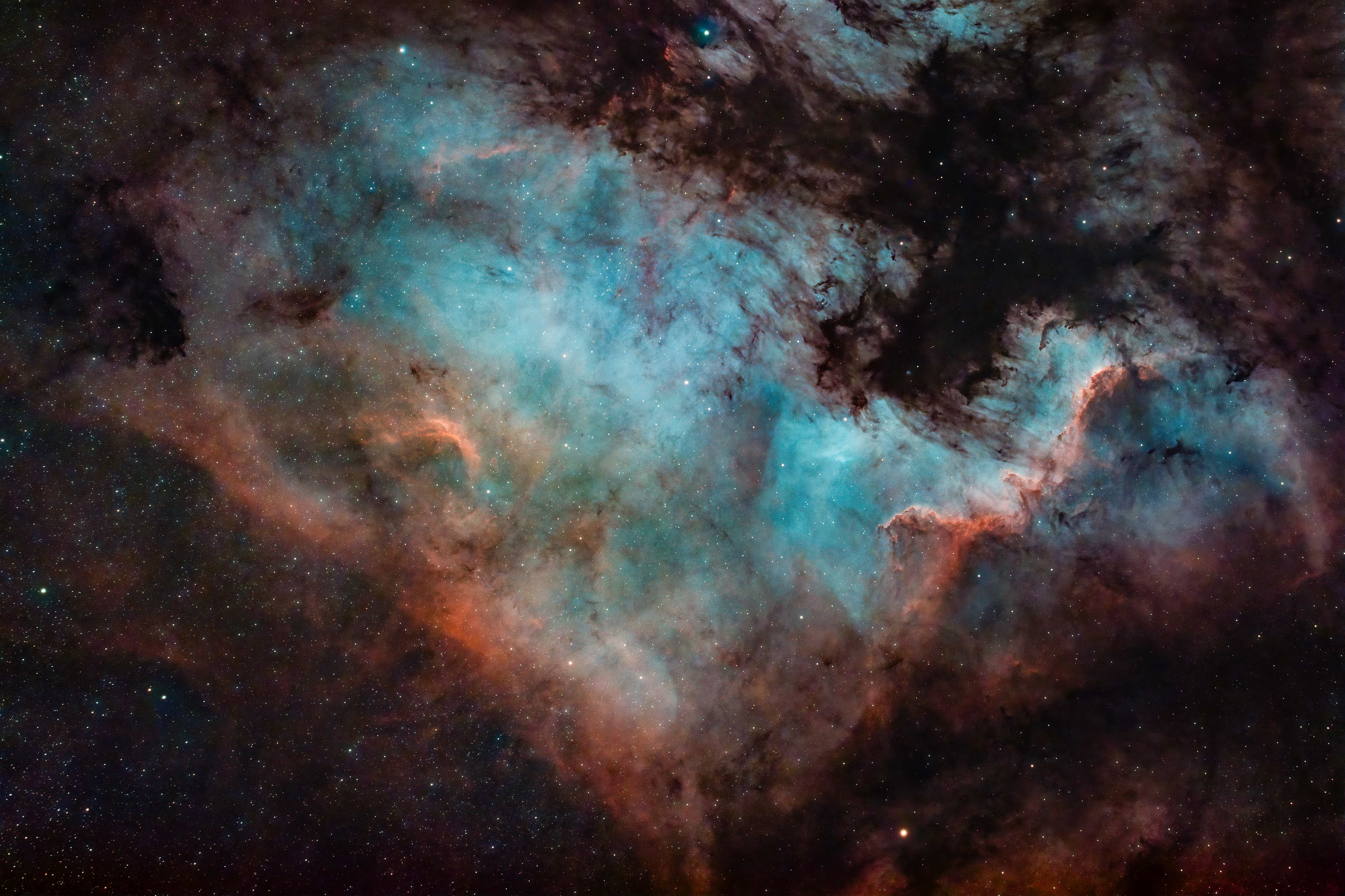 NGC 7000 North American Nebula