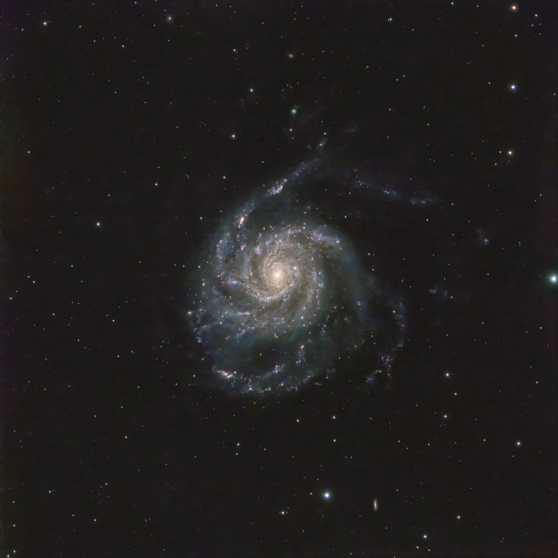 M101 Pinwheel Galaxy