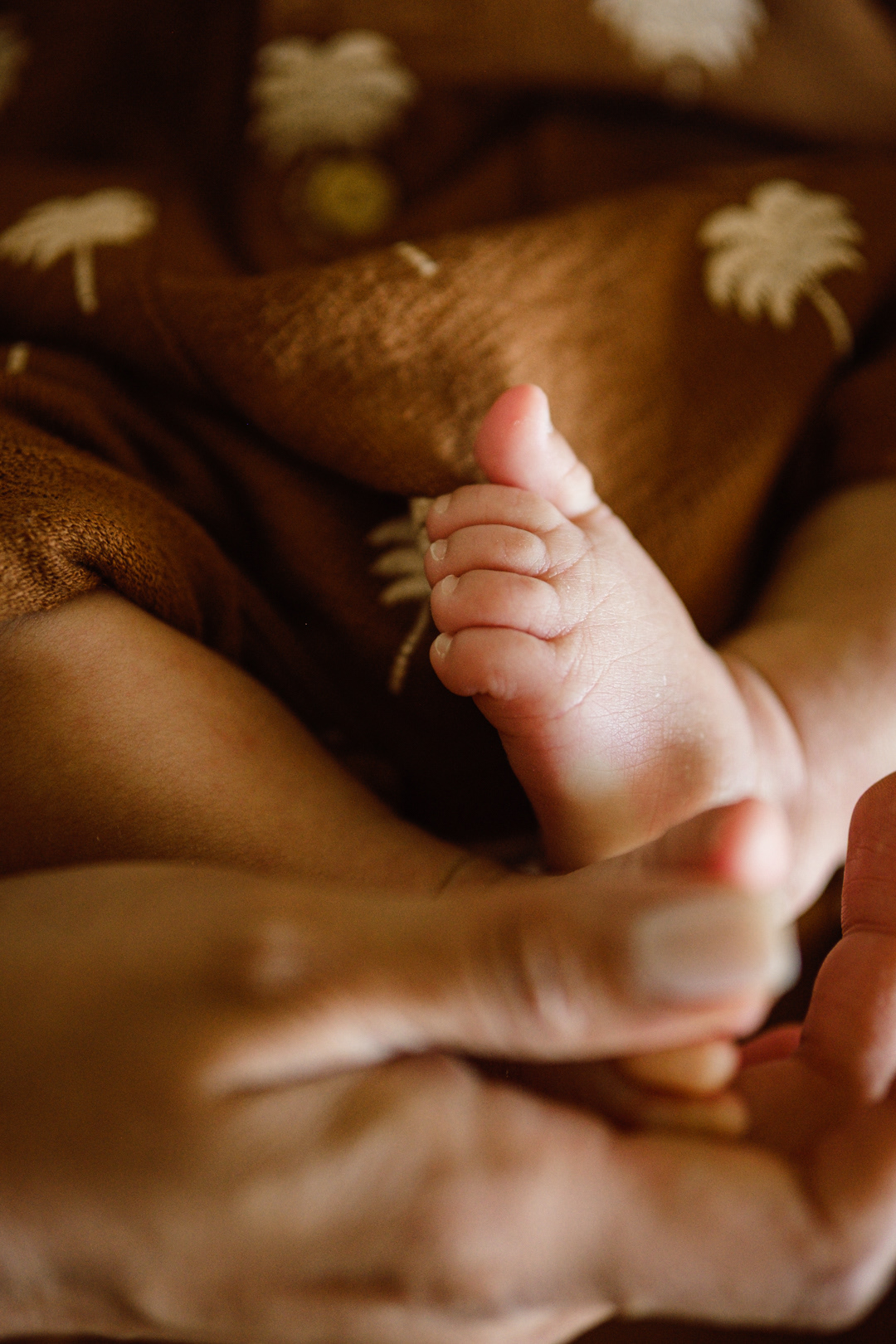 newborn photography sydney