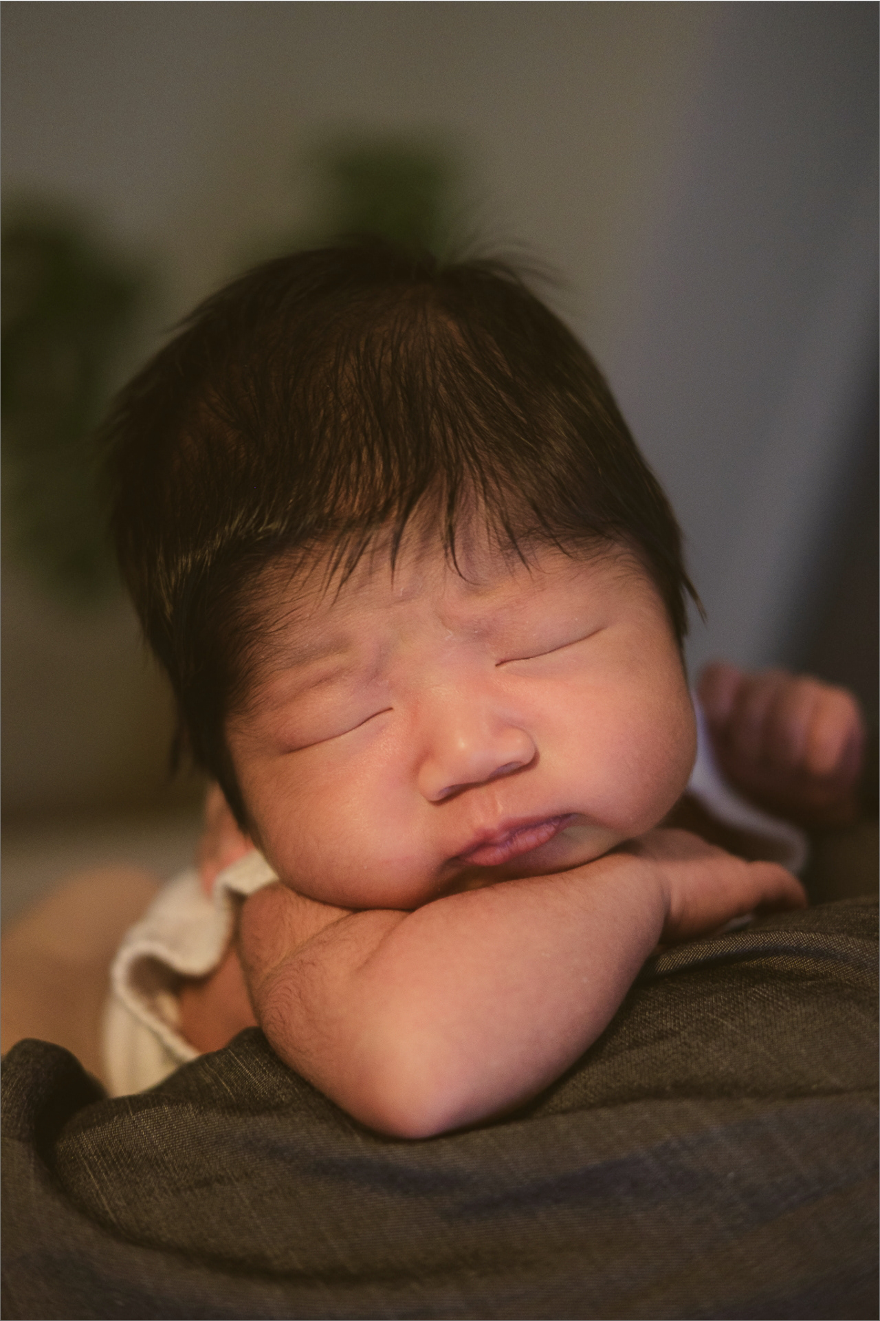 newborn photography Sydney Inner West