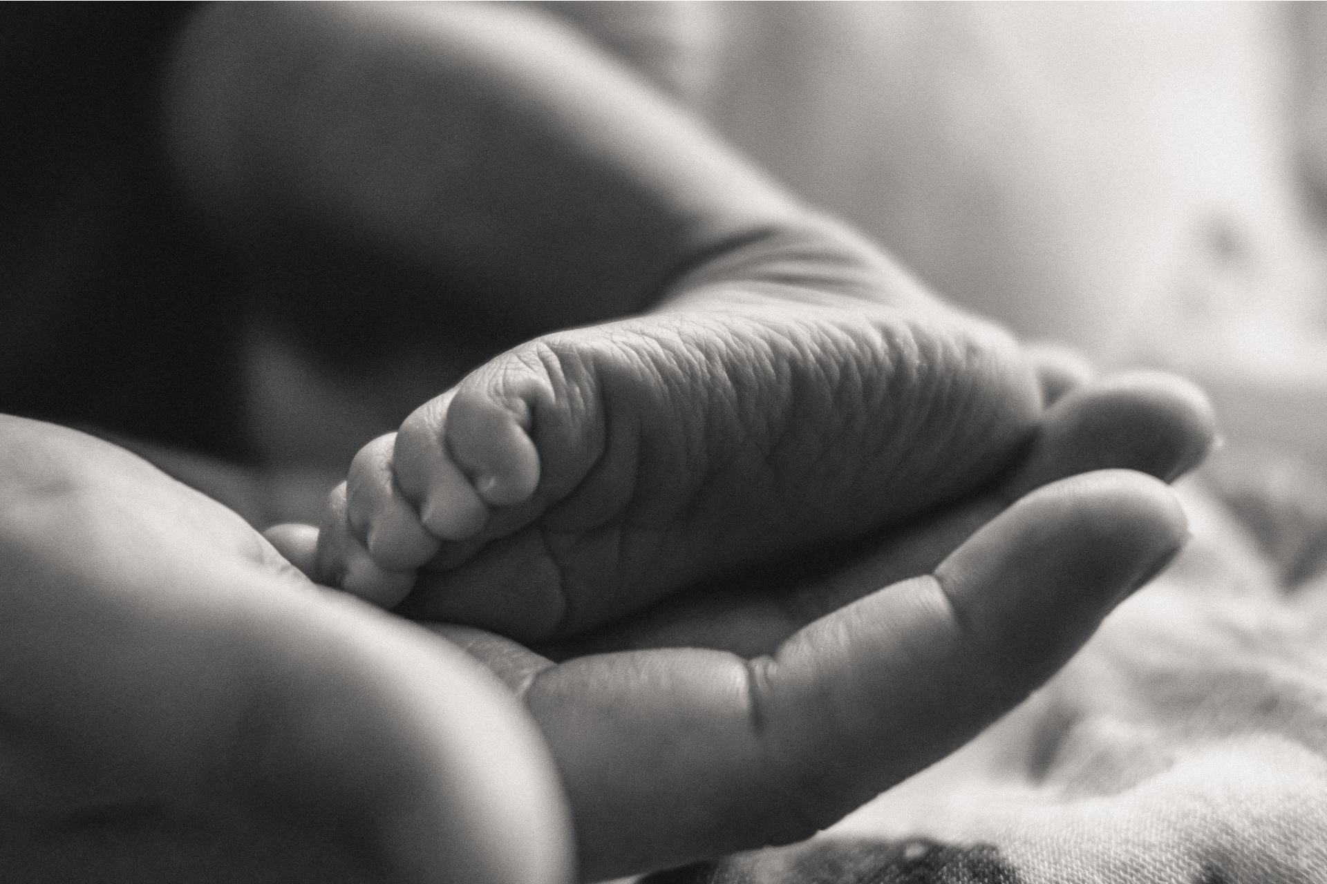 newborn photography Sydney Inner West