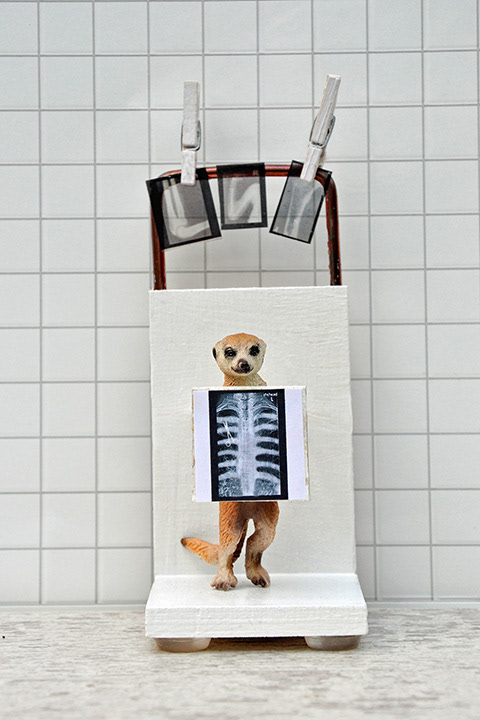 Der Kassenpatient