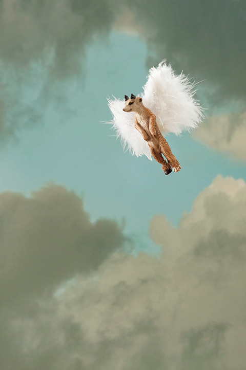guardian angel