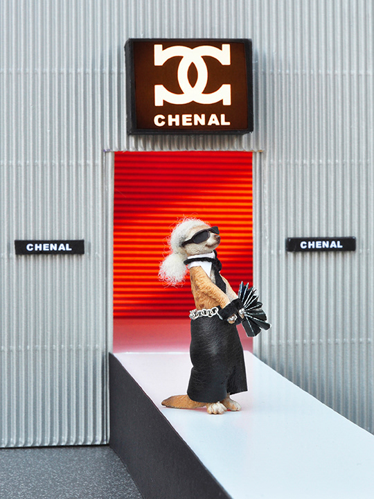 Chenal