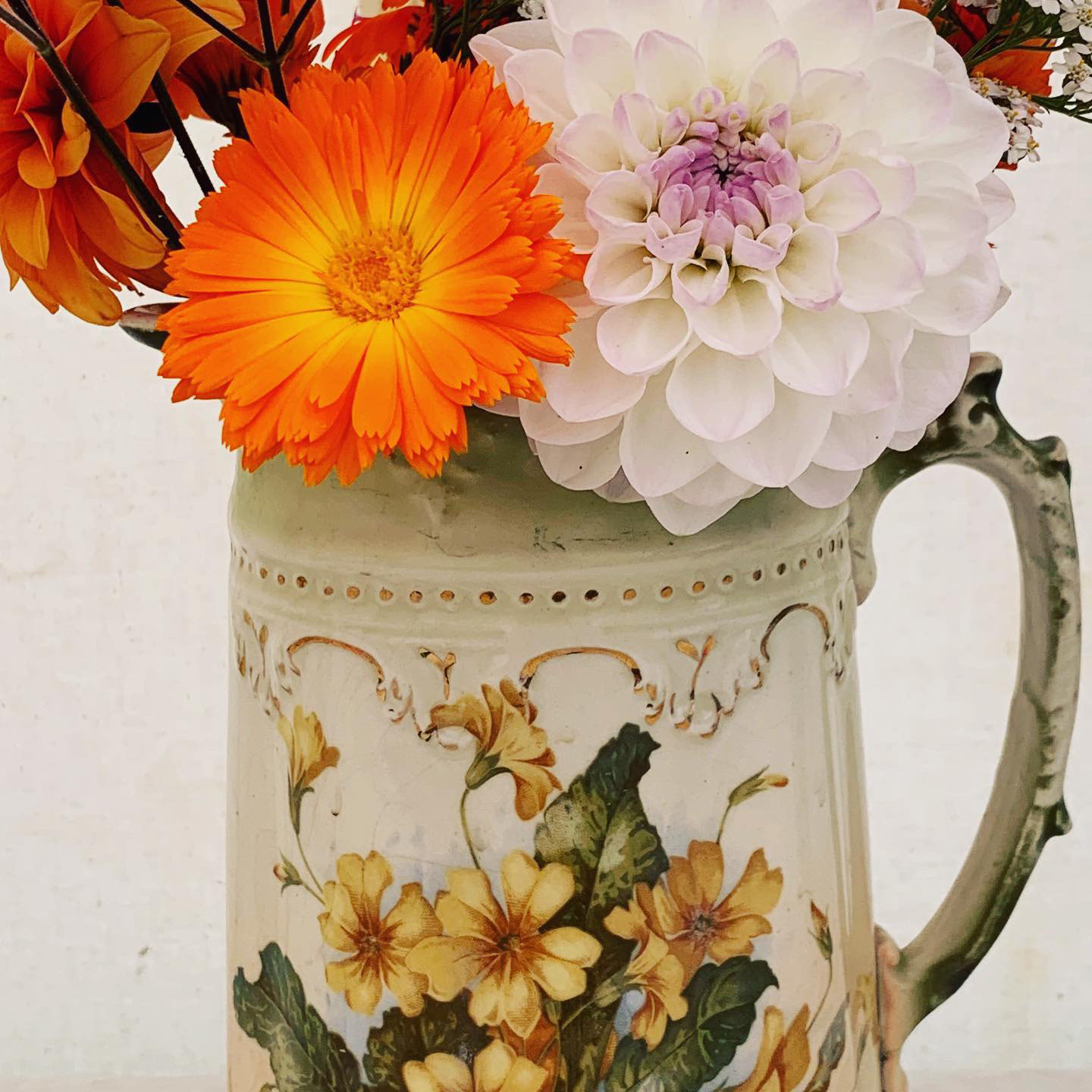 mixed dahlia