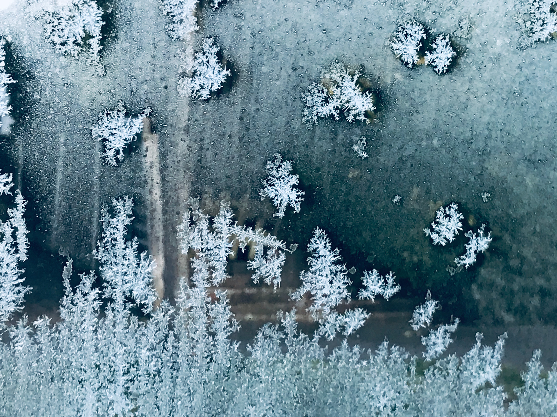 Frosty morning