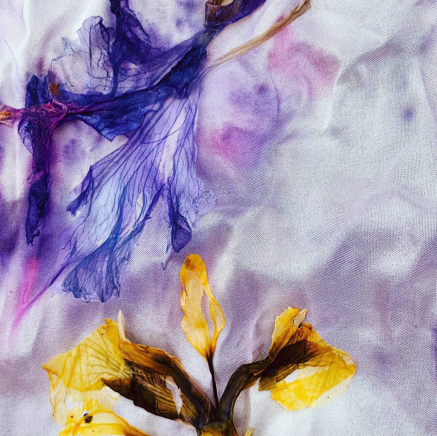 natural dyeing