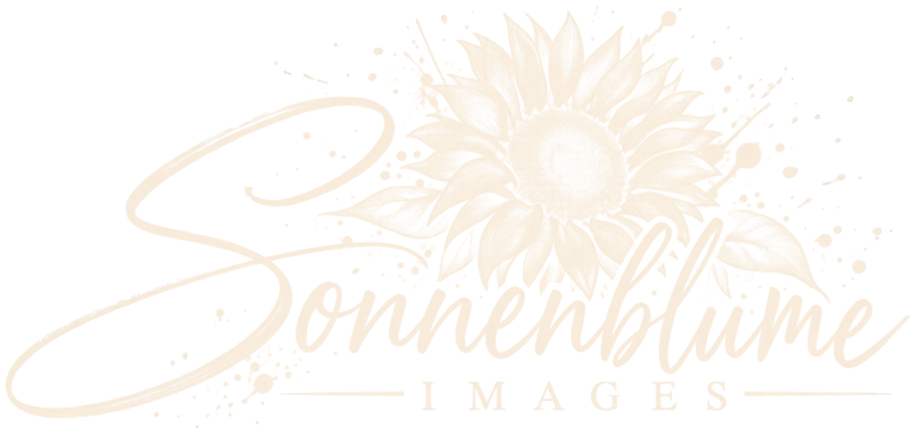 Sonnenblume Images