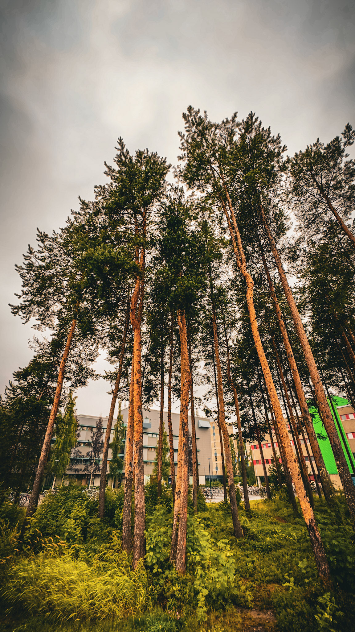 Oulu, Finland