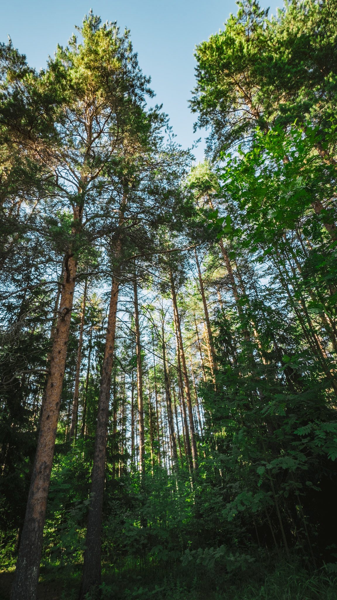 Oulu, Finland