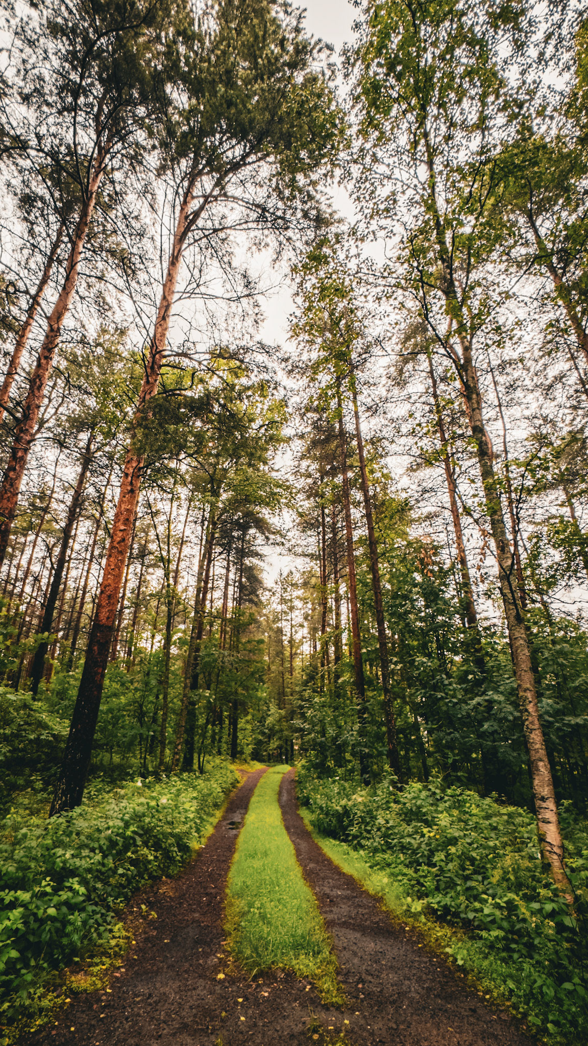 Oulu, Finland
