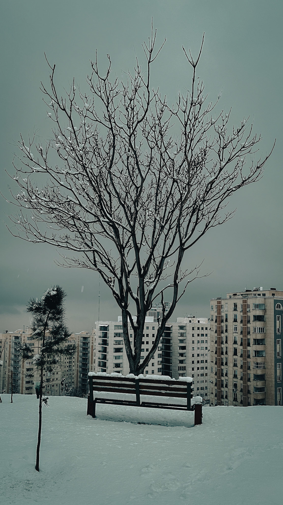Tehran, Iran