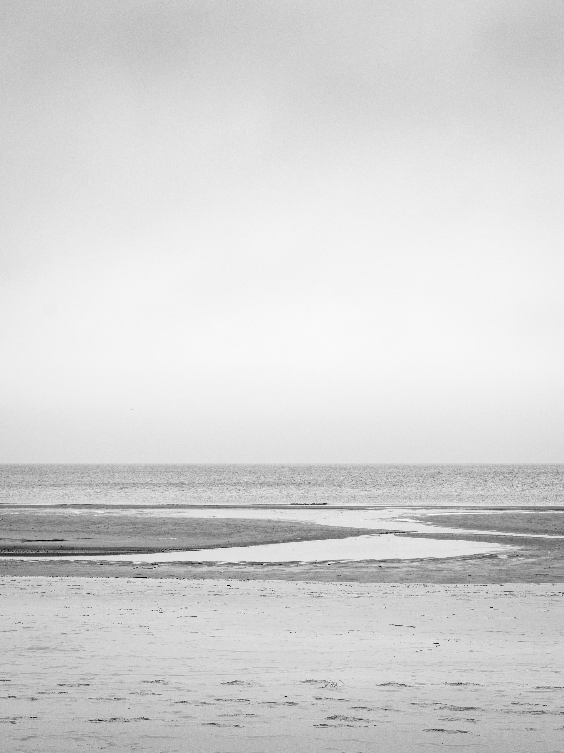 Black and White beach