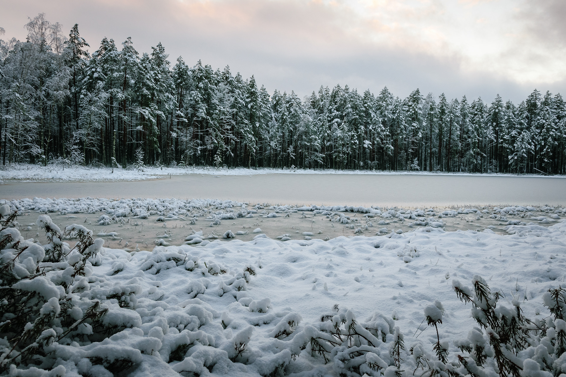 Frozen lake in a snow covered forest