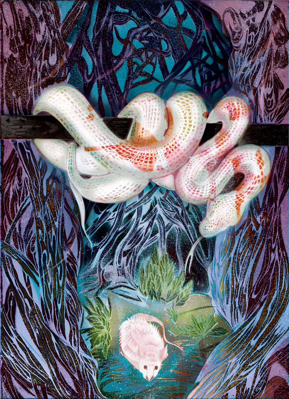 Promotional Editorial Illustration