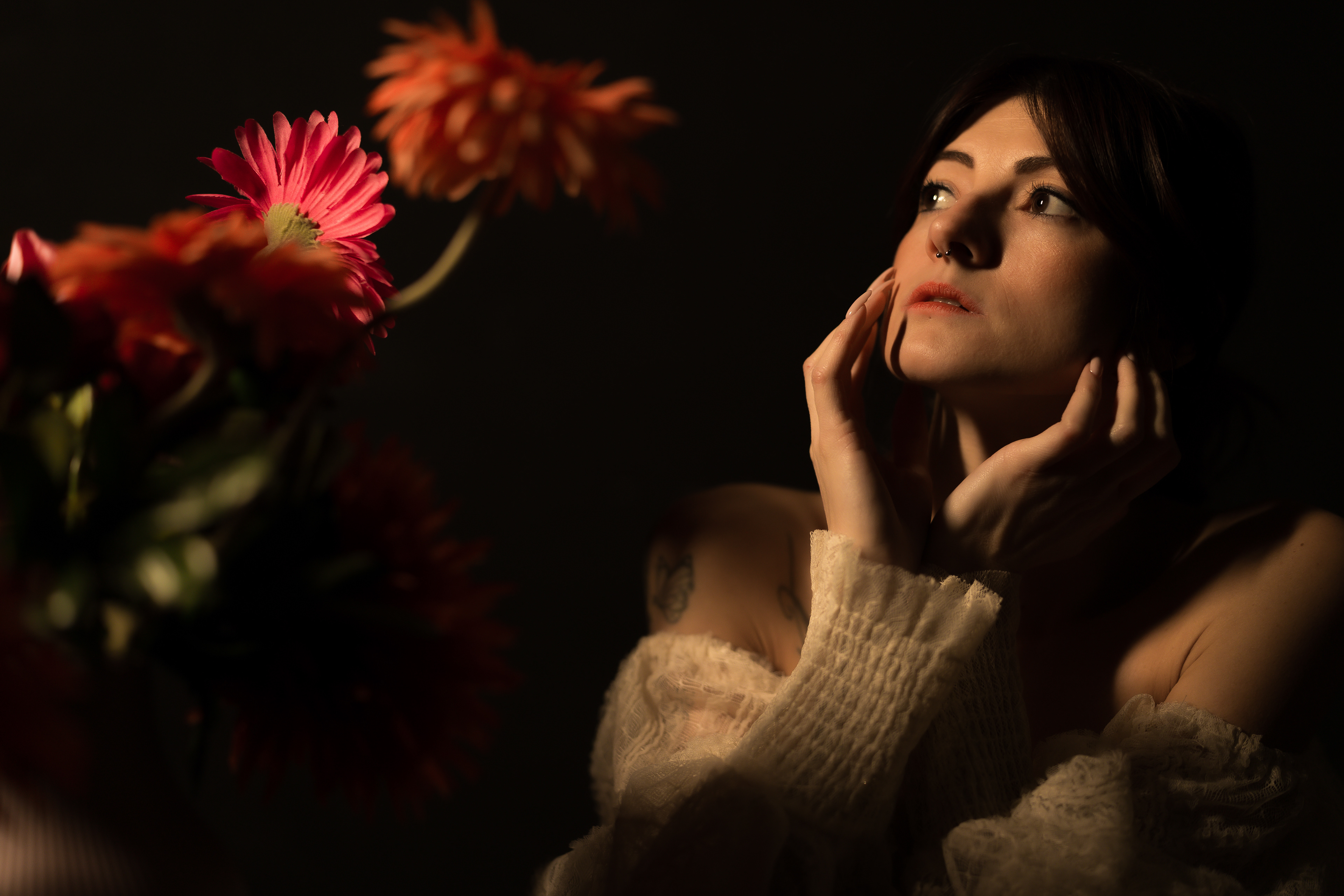 LillyModel
