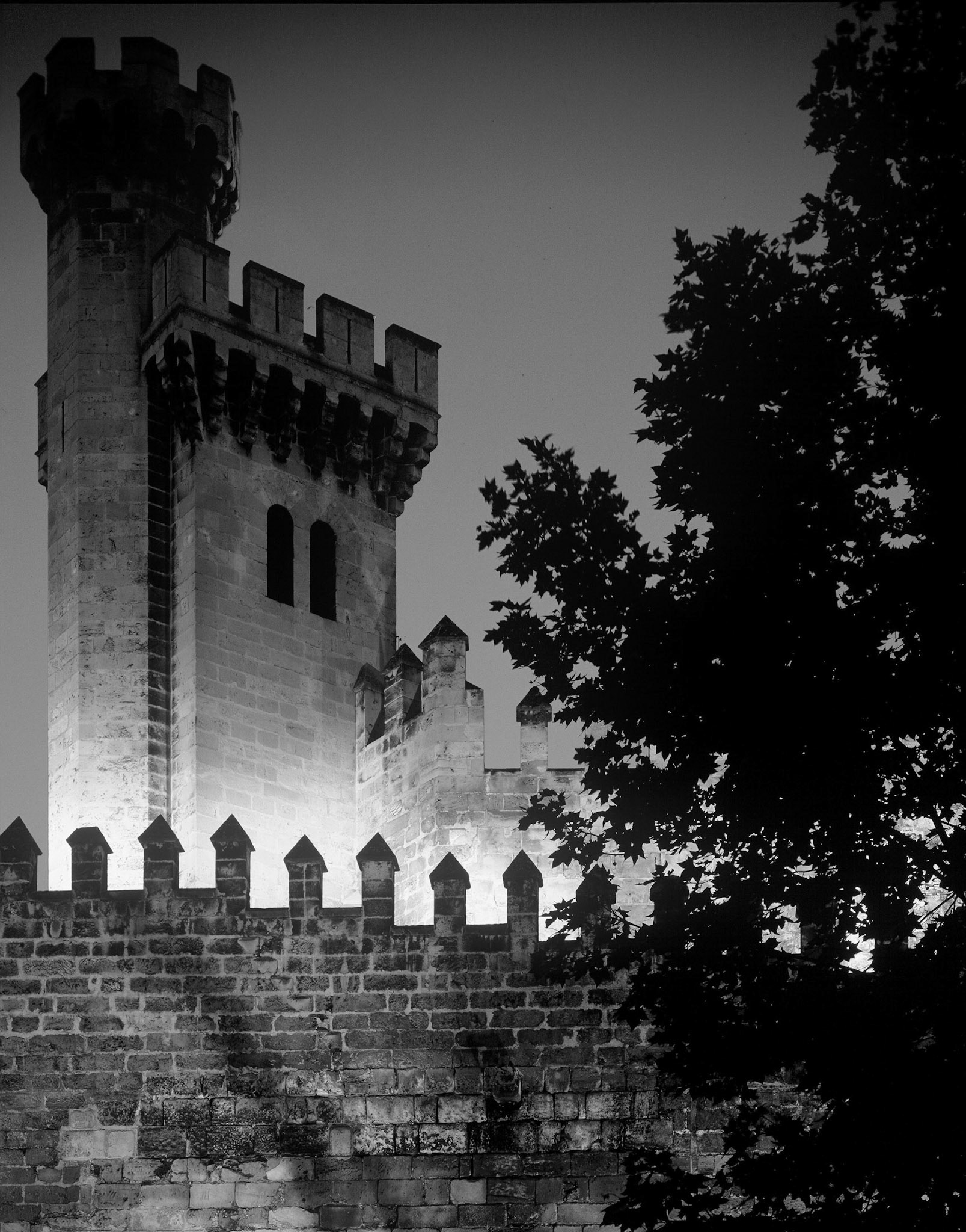 castle almudaina palma mallorca night
