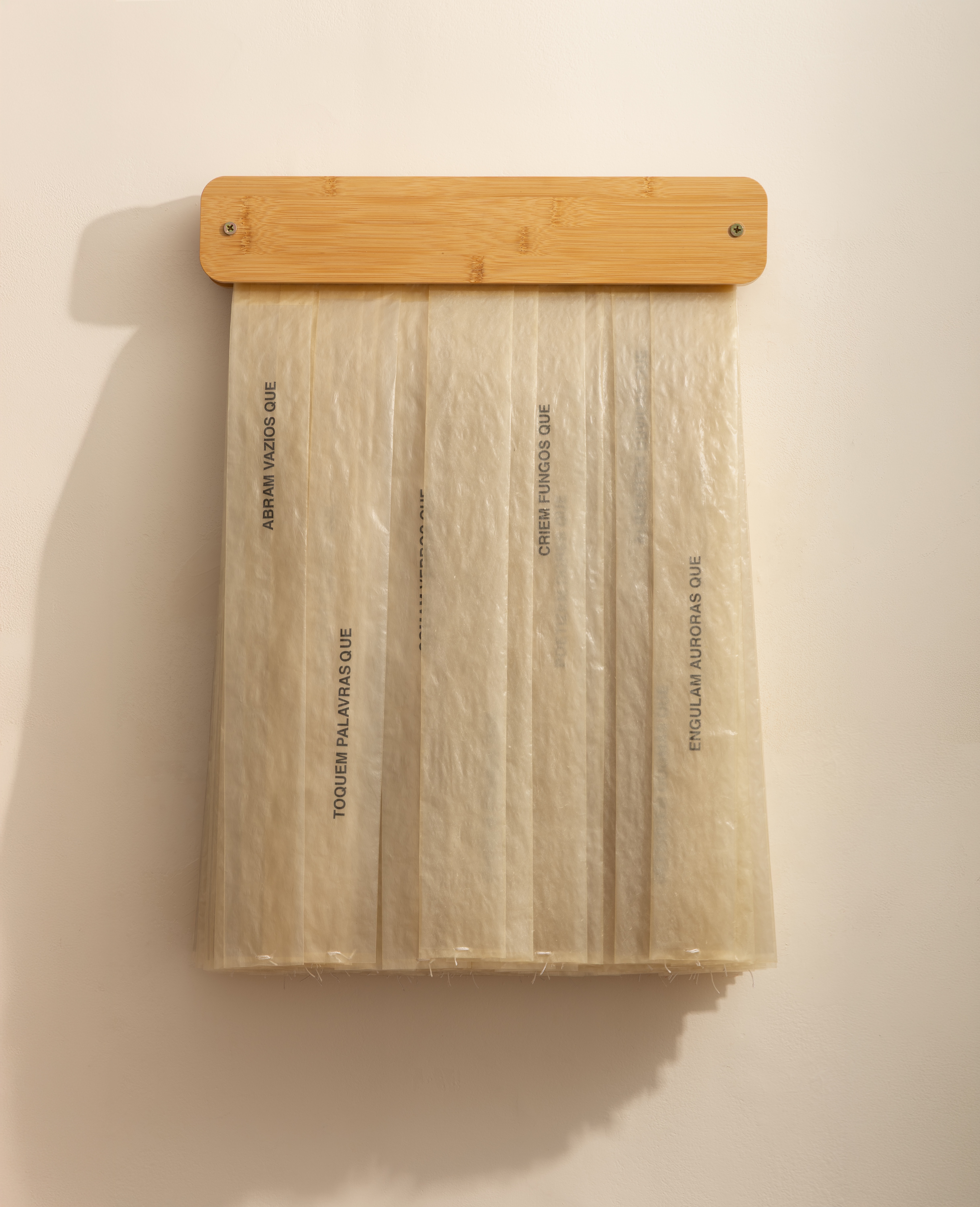 Obra Papiro Q, de Zans, Tripa de colágeno, acetato, vinil auto-adesivo, madeira. 40x60x10cm, 2024.