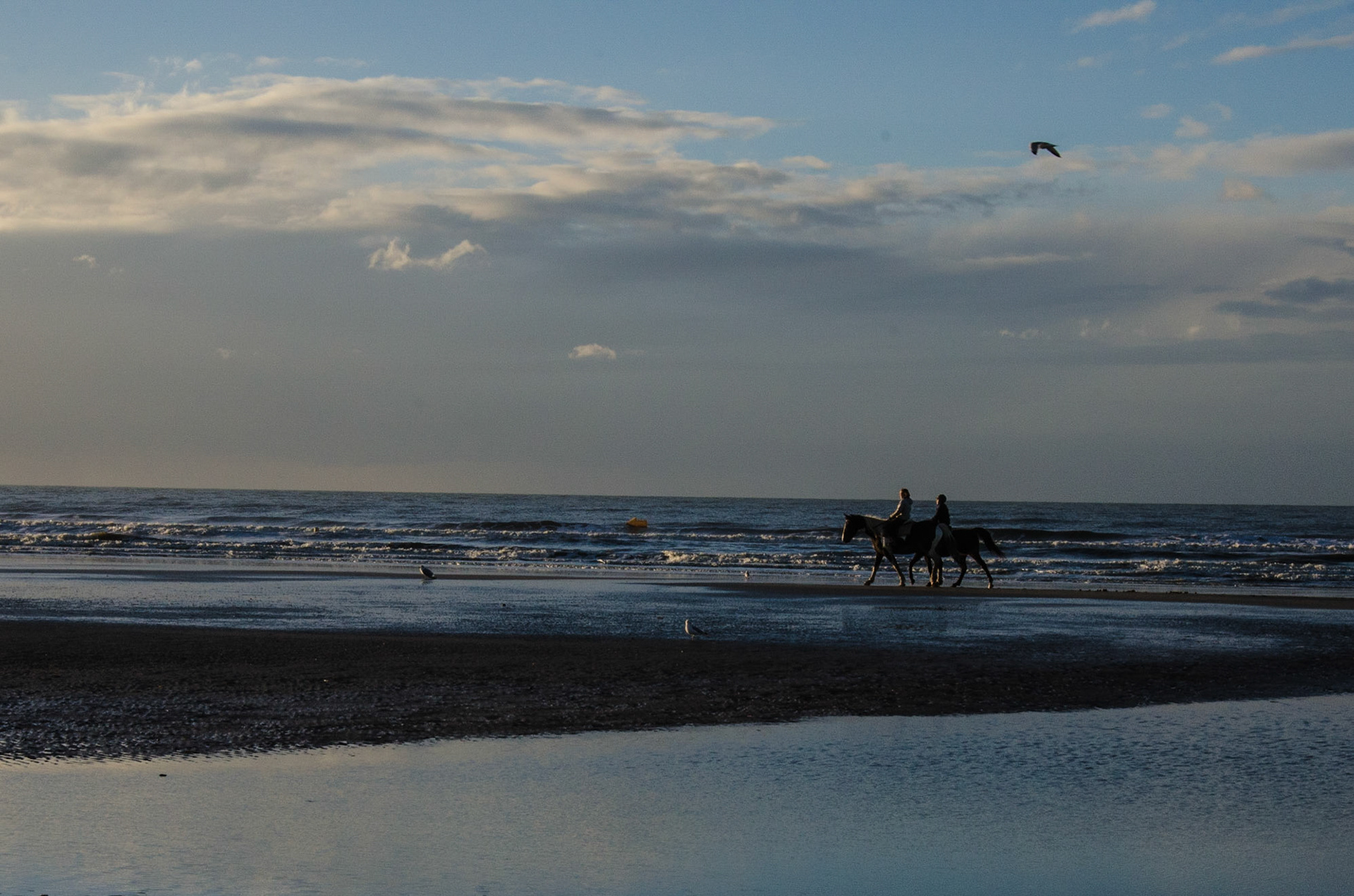 Deauville 16h51