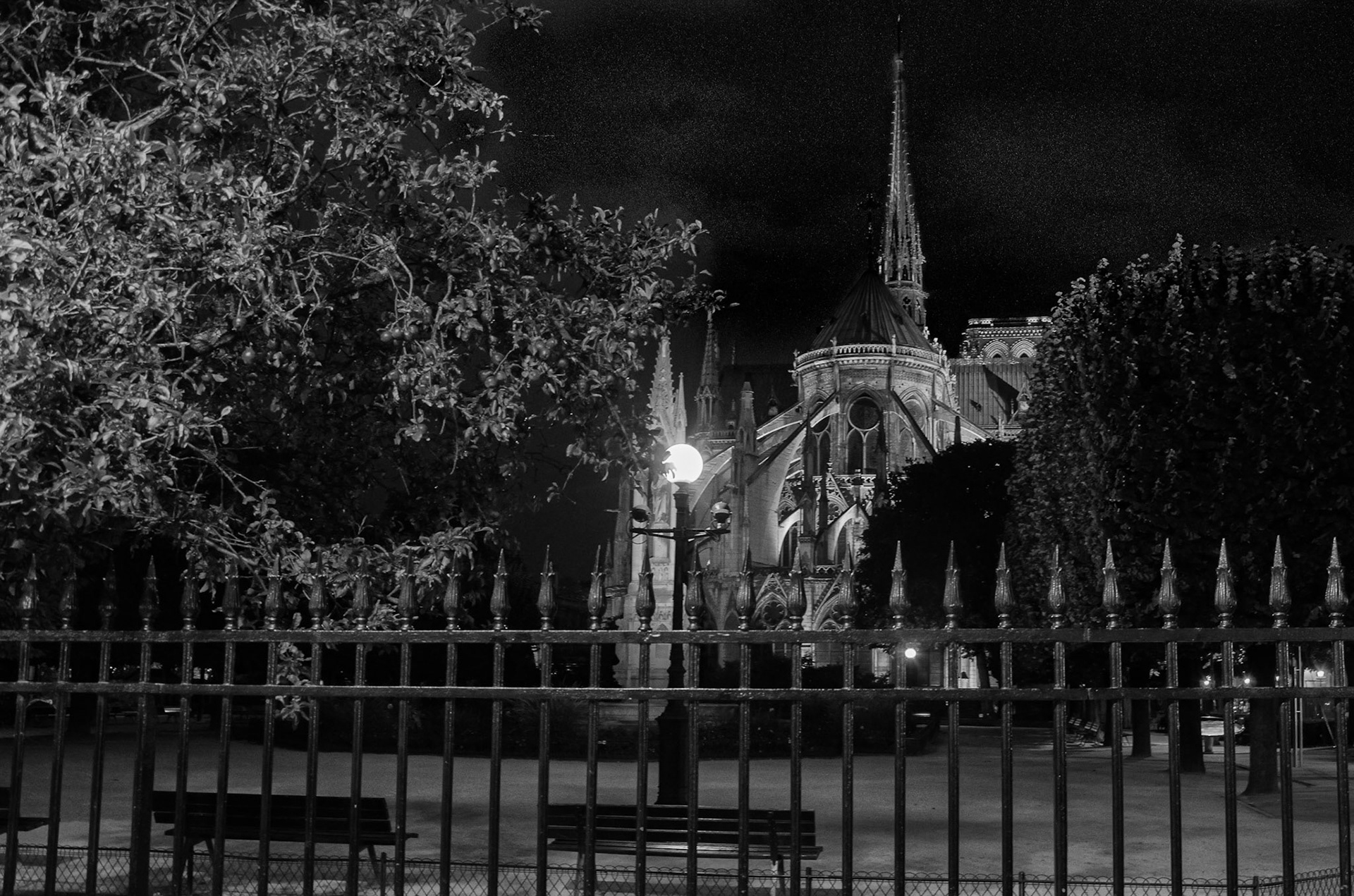Paris 20h58 8/14 Notre Dame