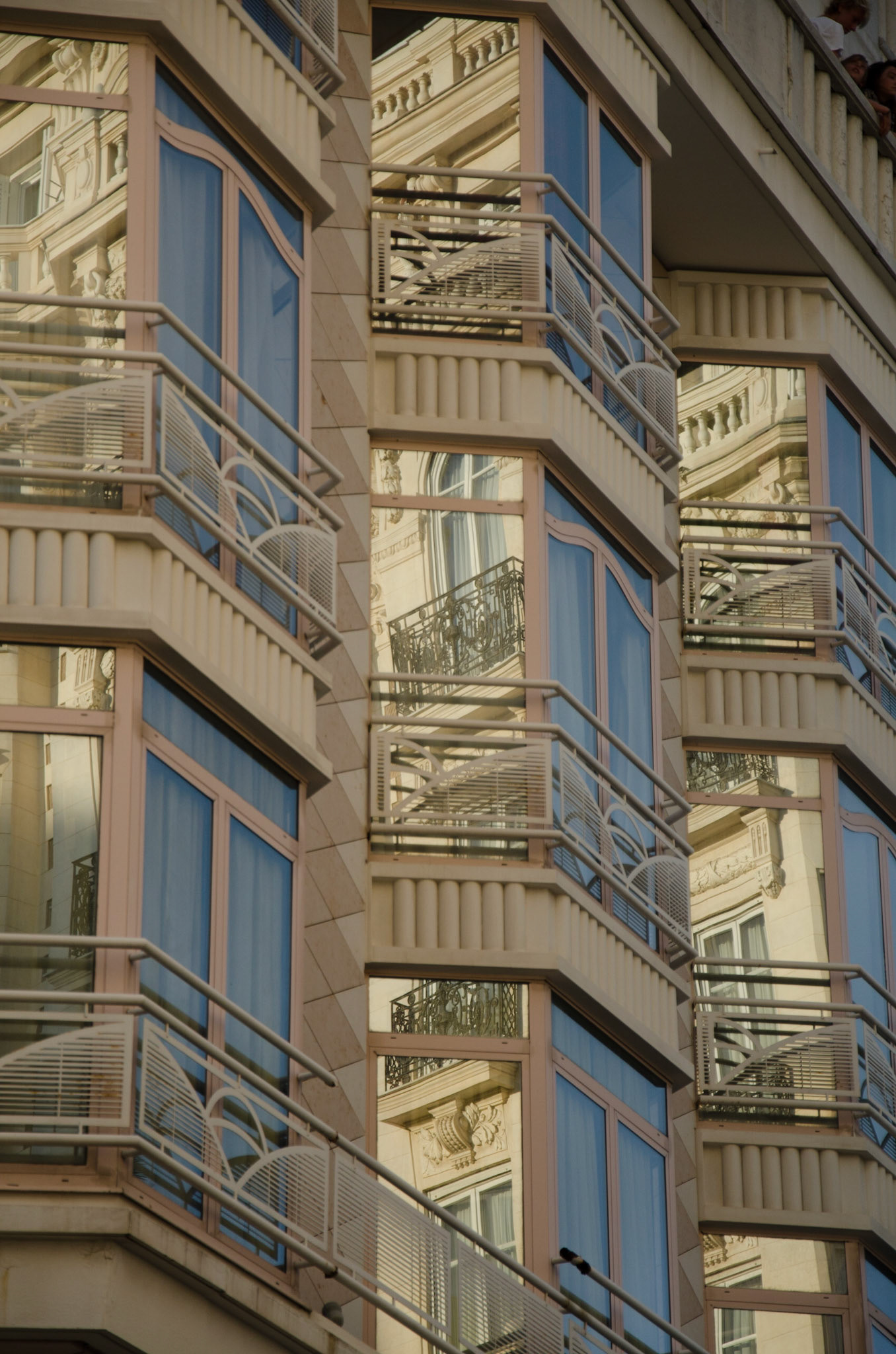 Canne reflets