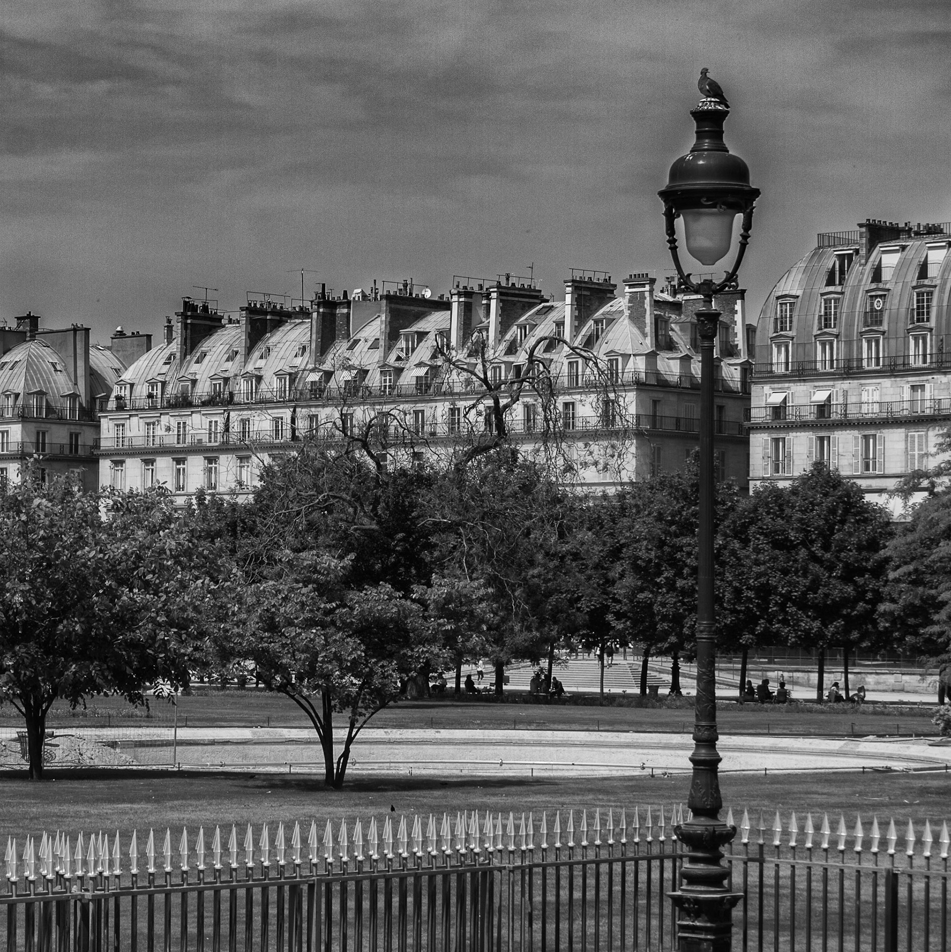 Paris 14h32 05/11 Rrue de rivoli
