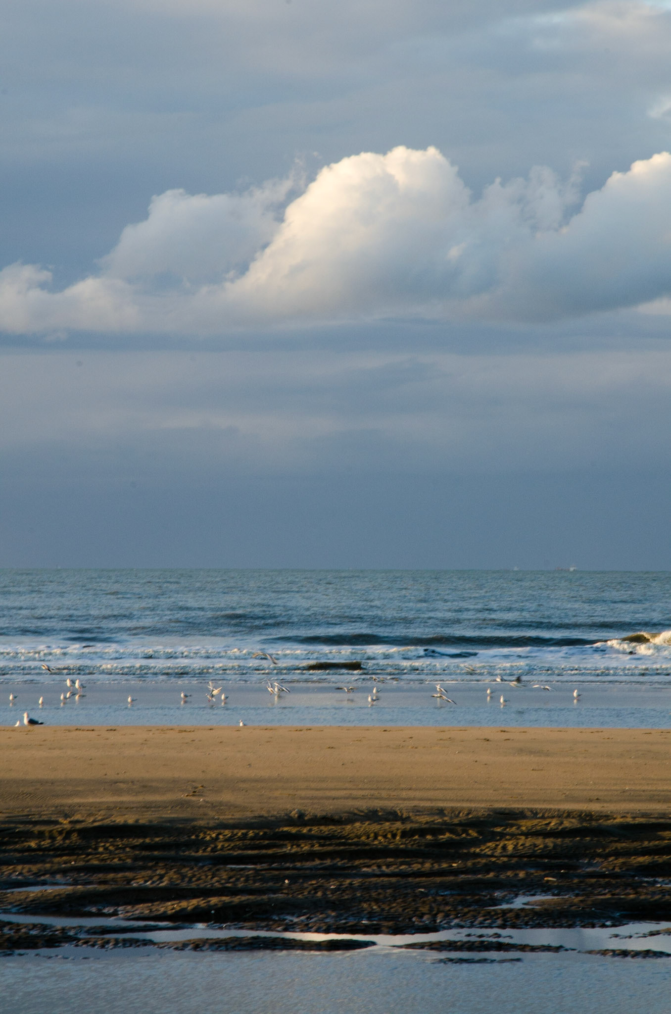 Deauville 17h02