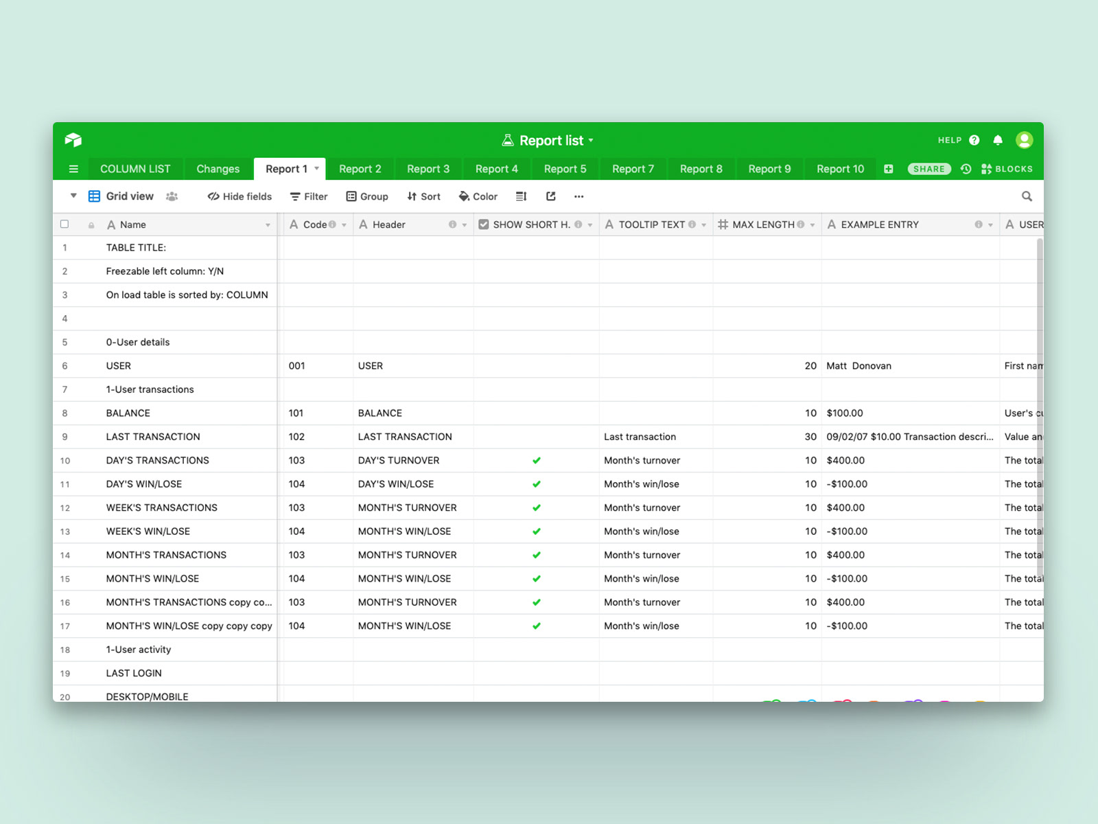 Spreadsheet specifying a list of all possible columns that can be displayed in reports.