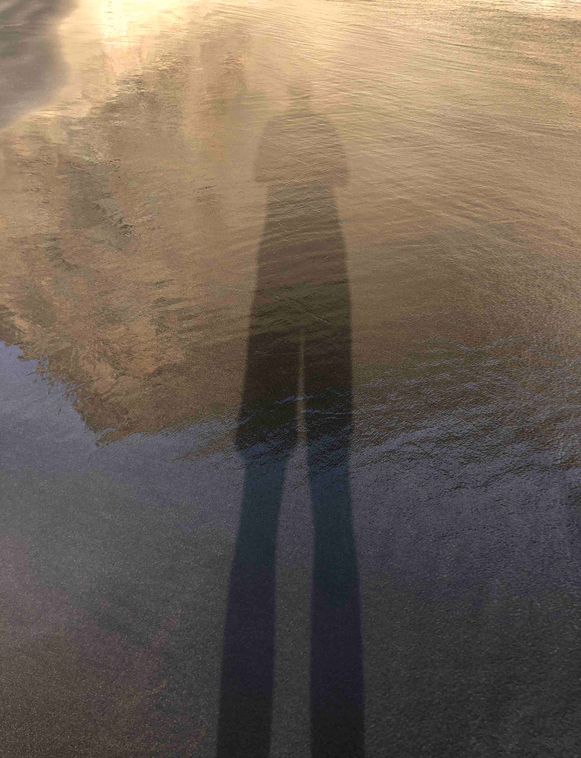 Shadow in the water © Alex Nowitz