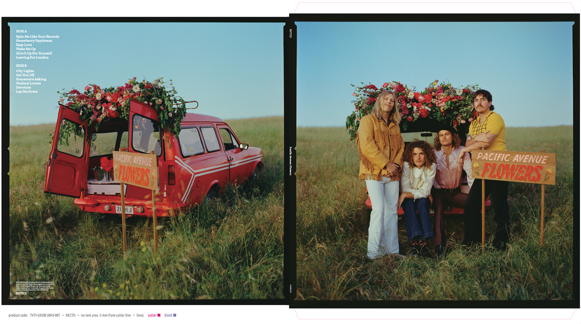 Vinyl - Cover