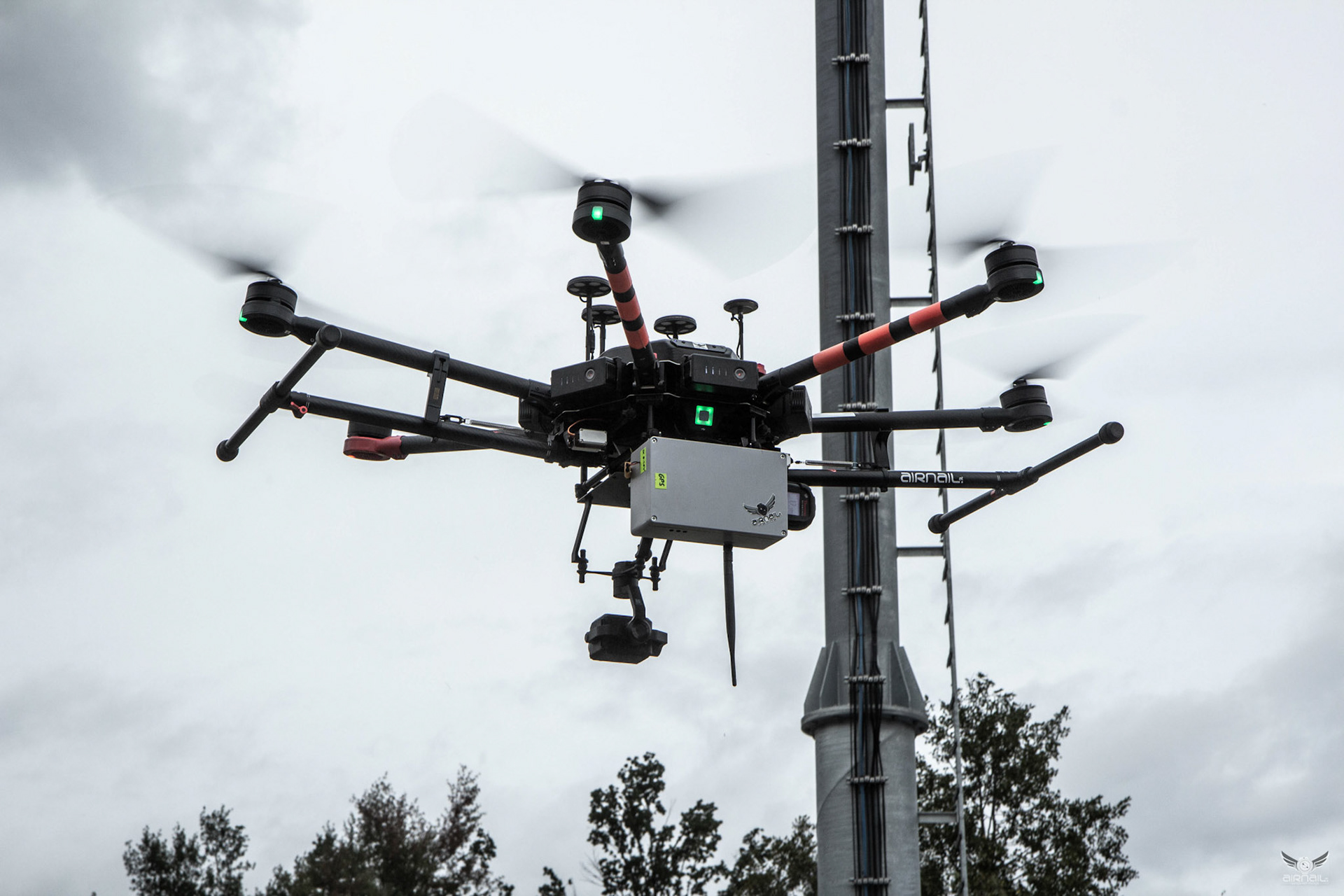 Radioactivity mapping BMLV