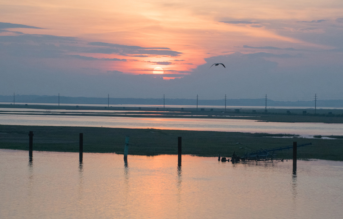 Chincoteague Island, VA