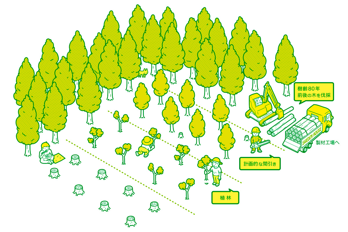 鳥瞰図 植林 イラスト