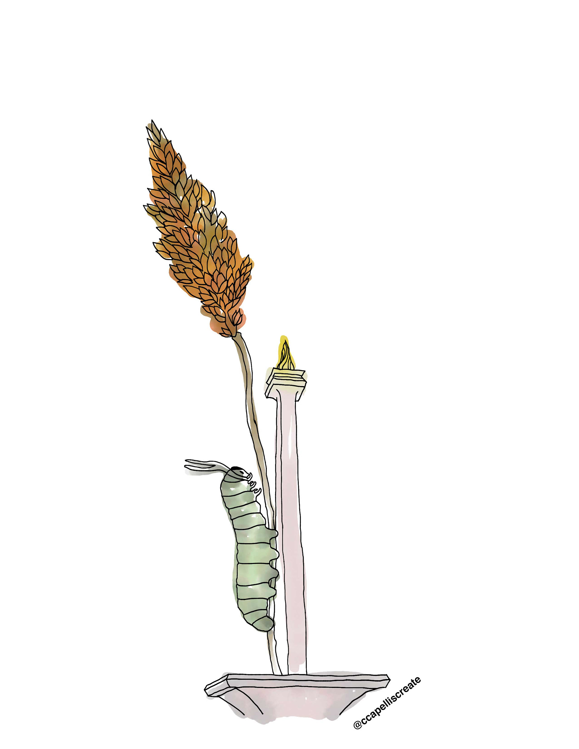 October 16 - Jakarta, Wheat, Caterpillar