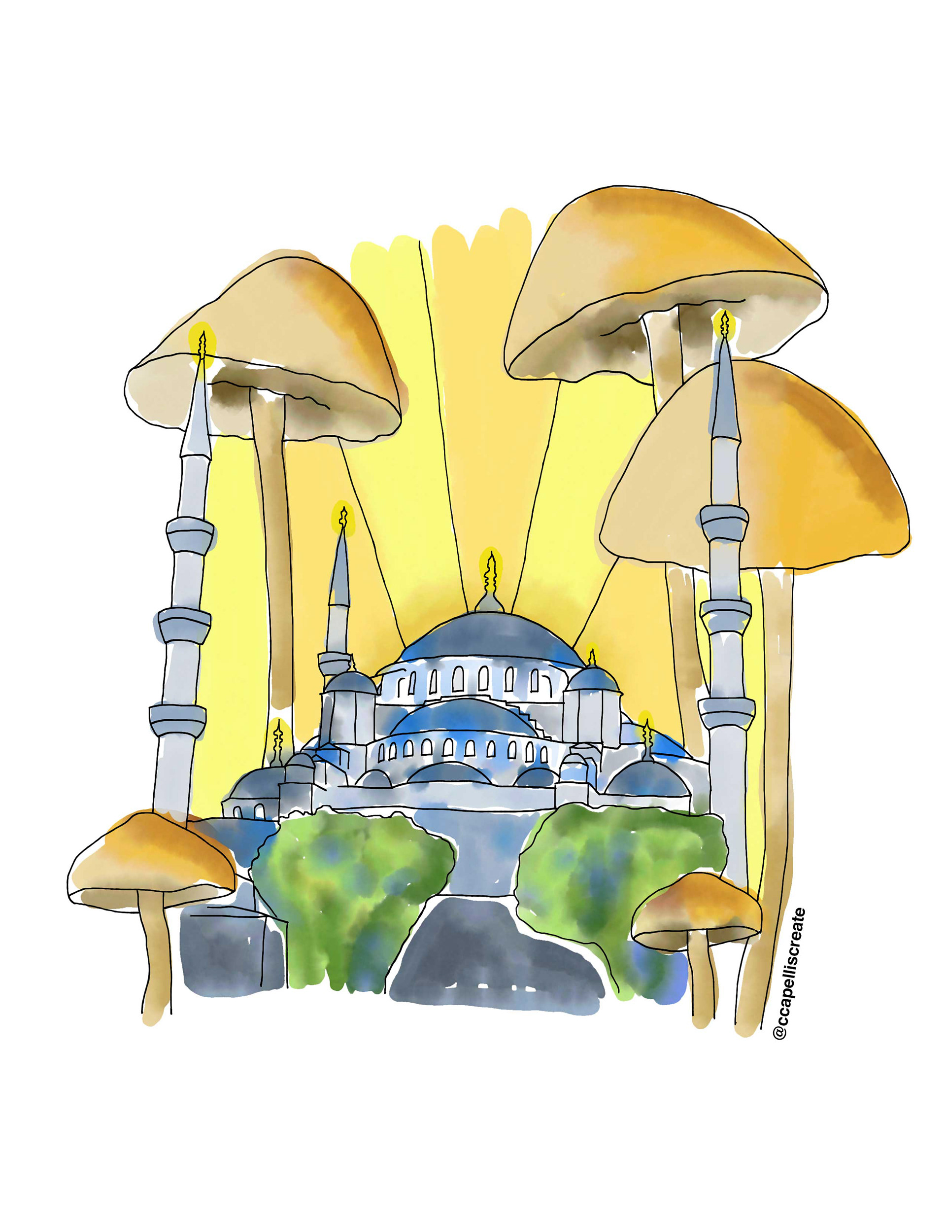 October 25 - Istanbul, Mushrooms, Sunshine