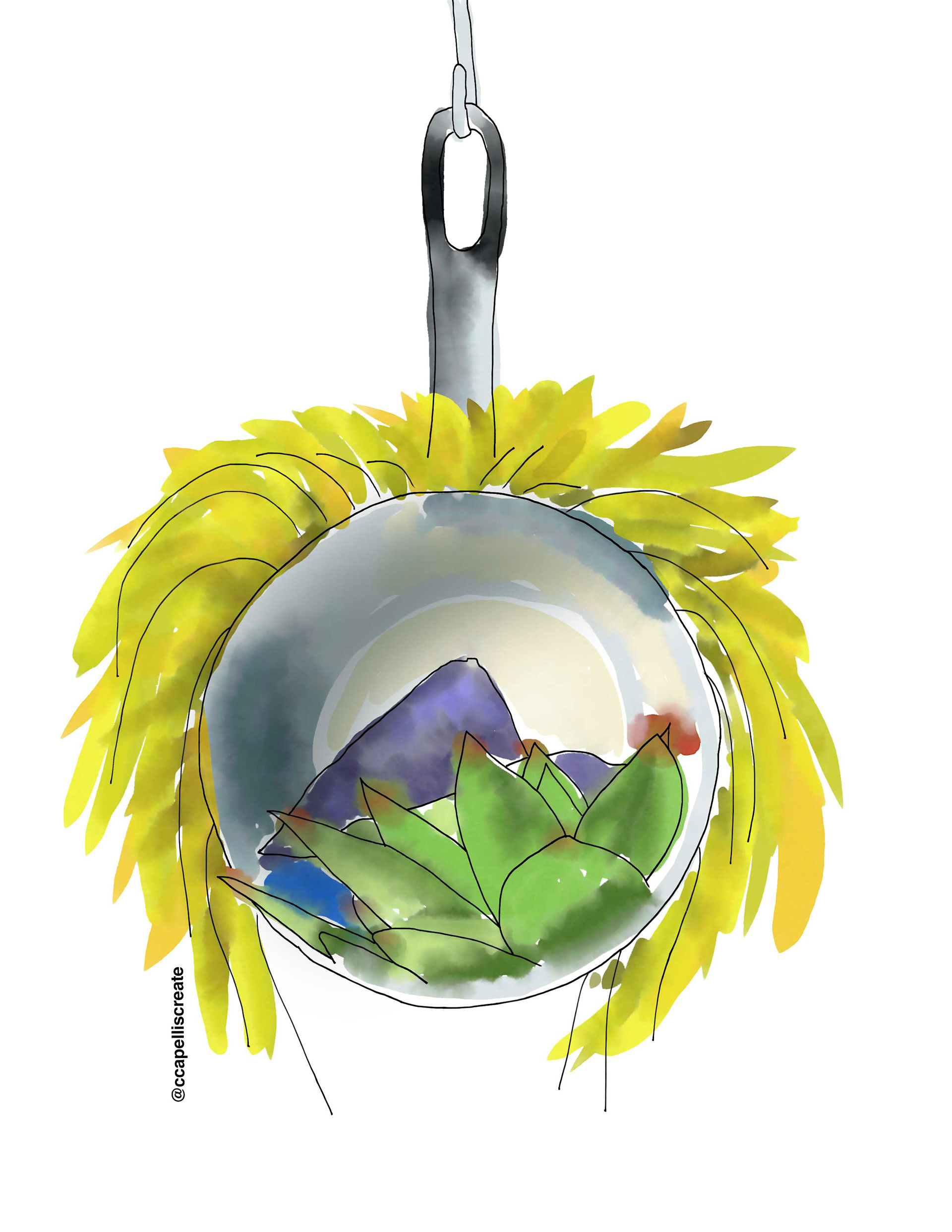 October 23 - Rio de Janeiro, Pots & Pans, Succulent