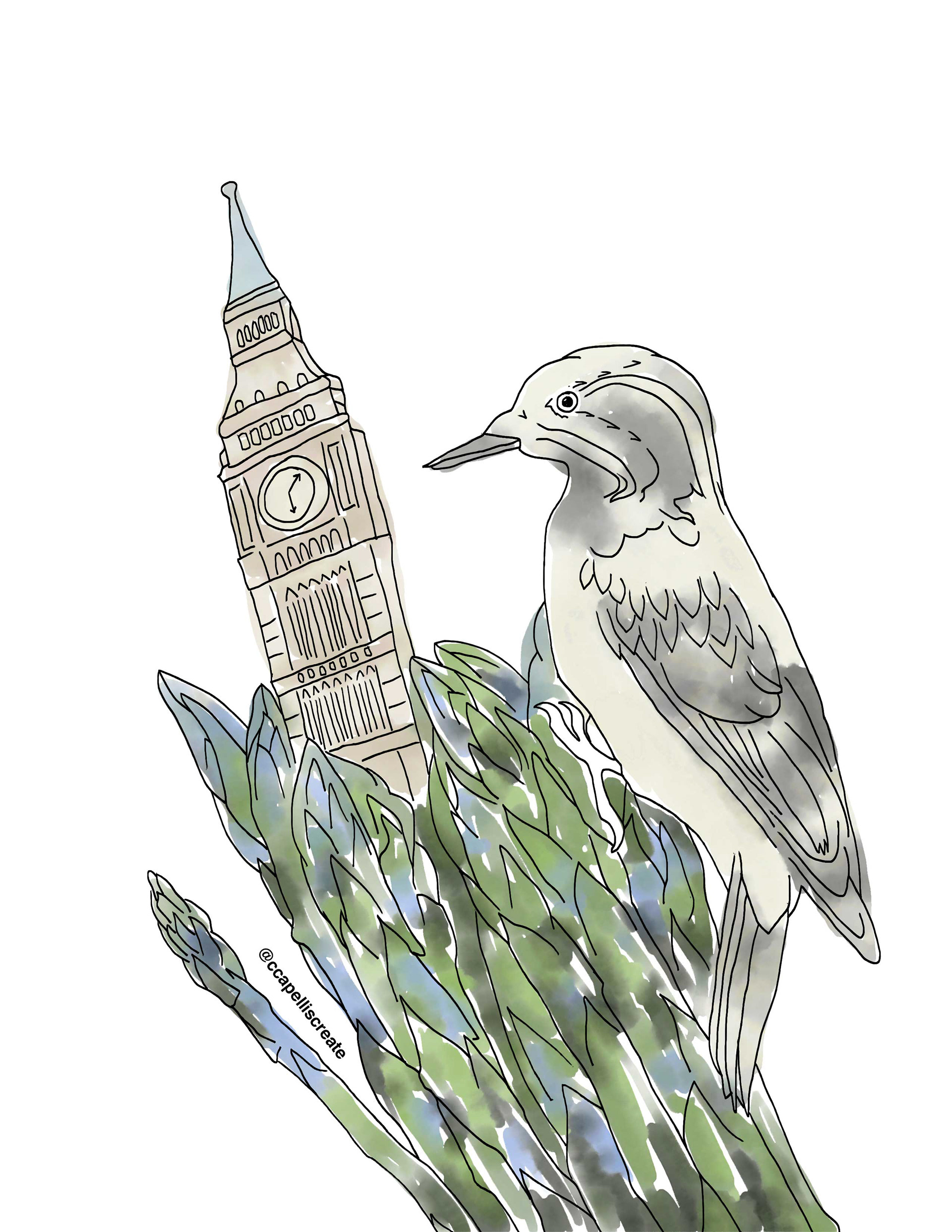October 13 - London, Asparagus, Woodpecker