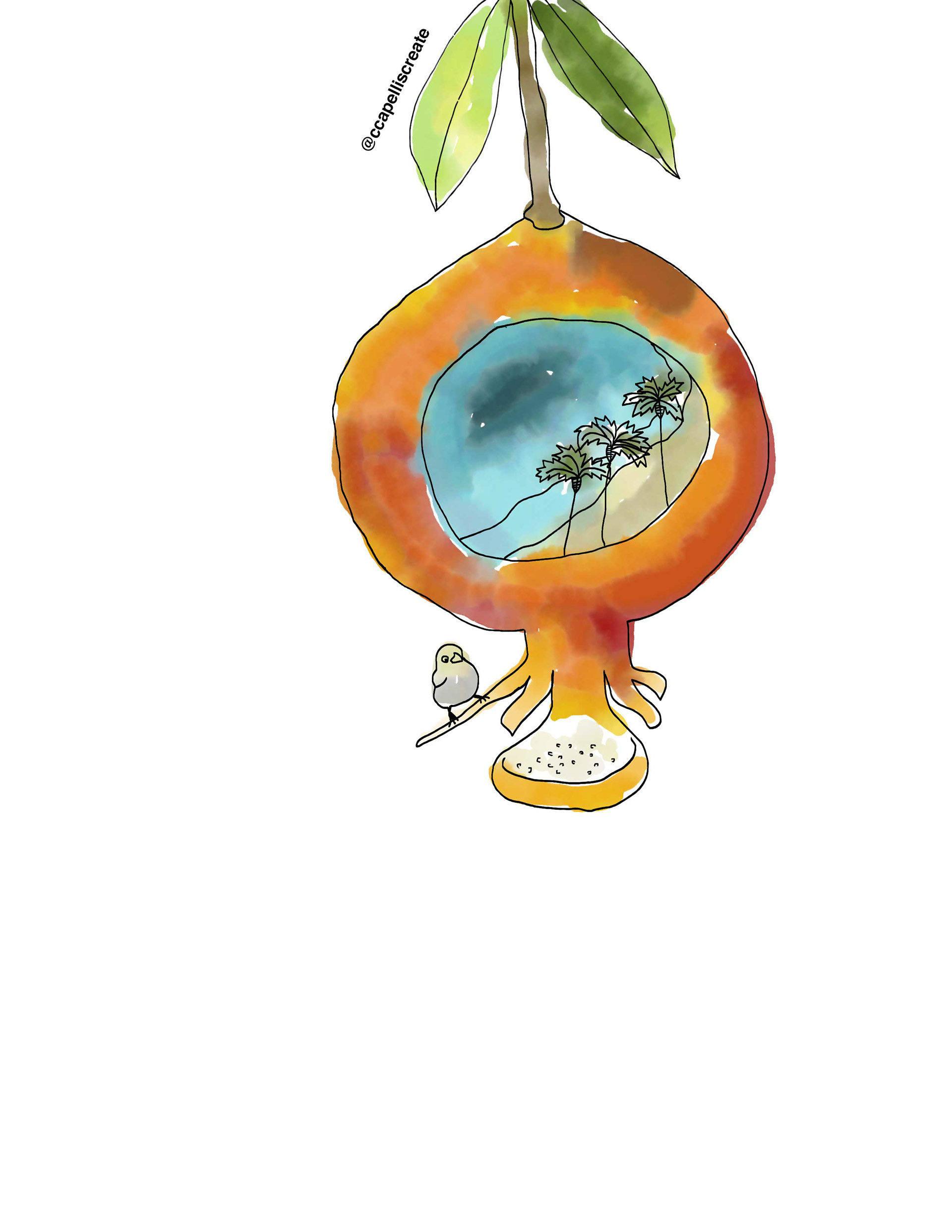 October 19 - Honolulu, Pomegranate, Bird Feeder