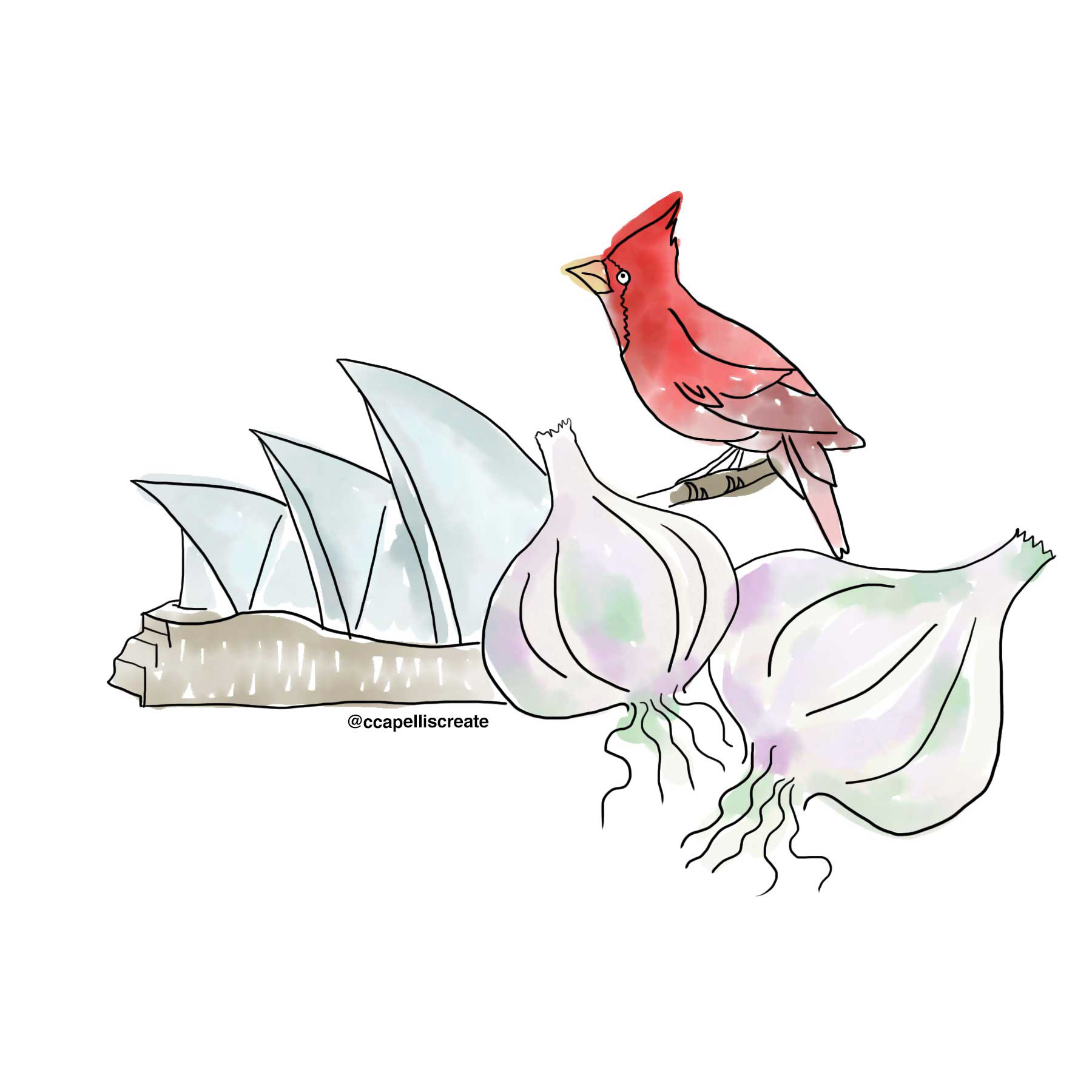 October 5 - Sydney, Garlic, Cardinal