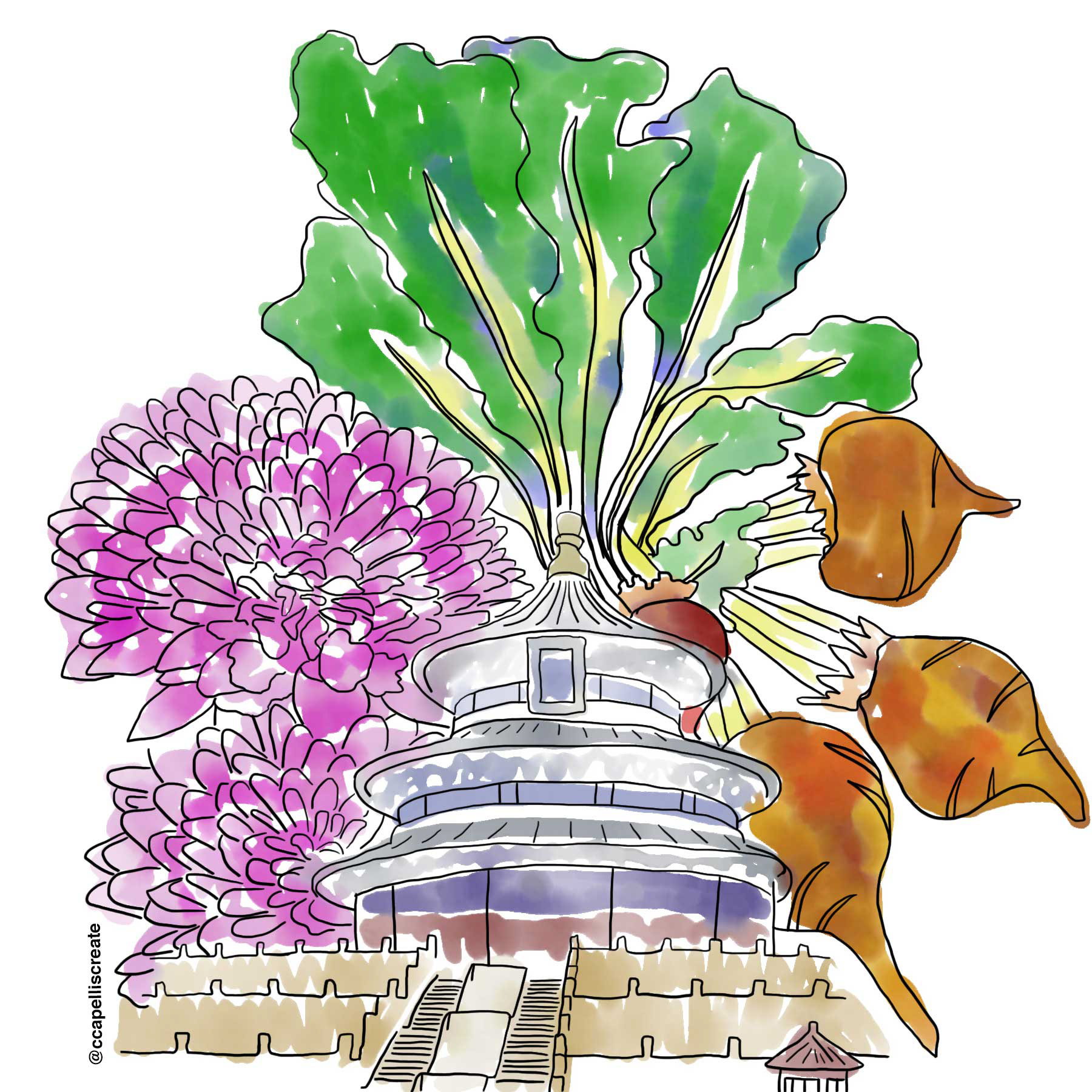 October 7 - Beijing, Beets, Mums