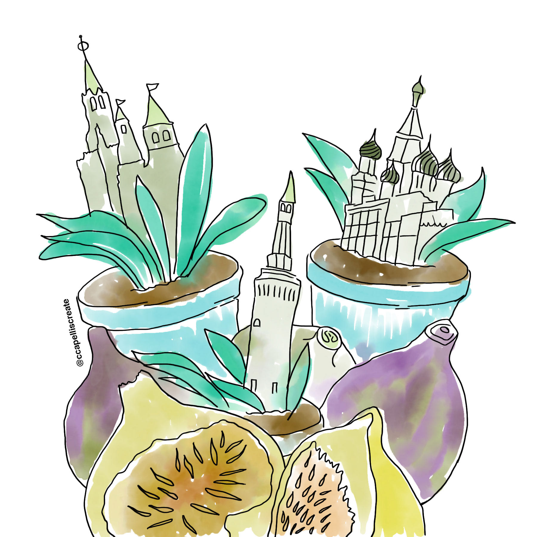 October 4 - Moscow, Figs, Potted Plants